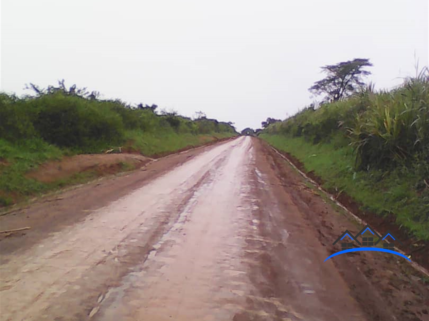 Multipurpose Land for sale in Nabisojjo Nakaseke