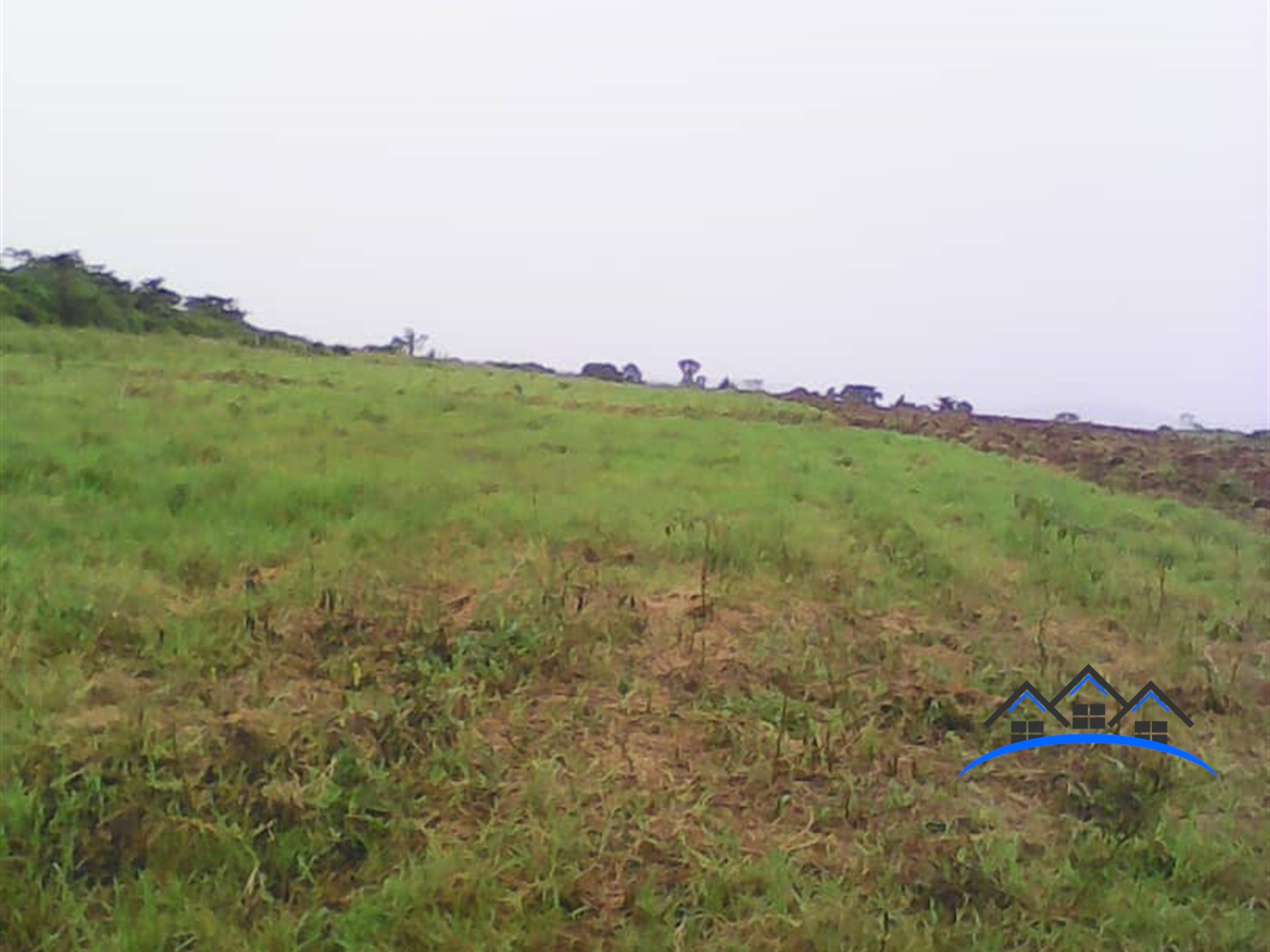 Multipurpose Land for sale in Nabisojjo Nakaseke