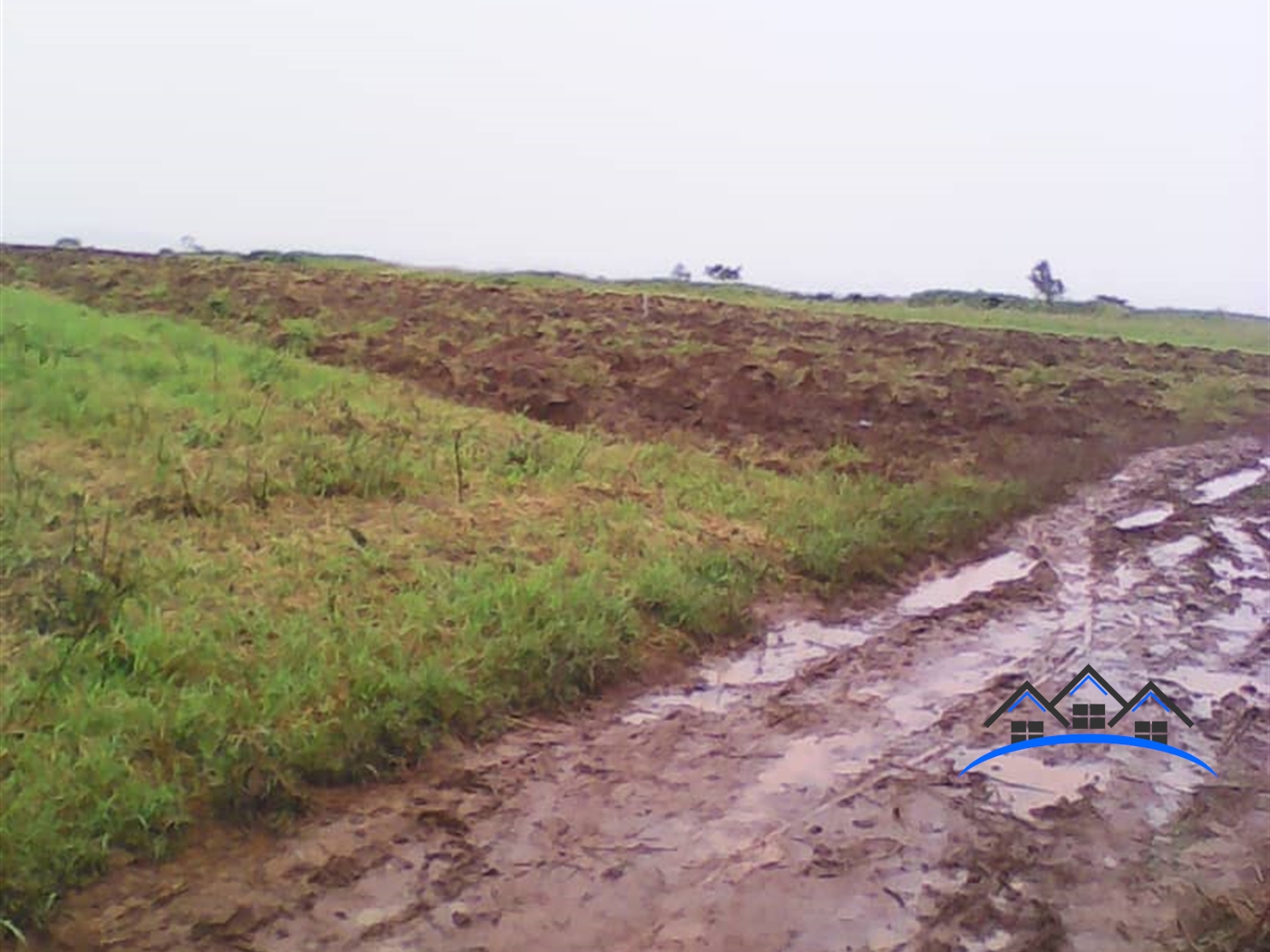 Multipurpose Land for sale in Nabisojjo Nakaseke