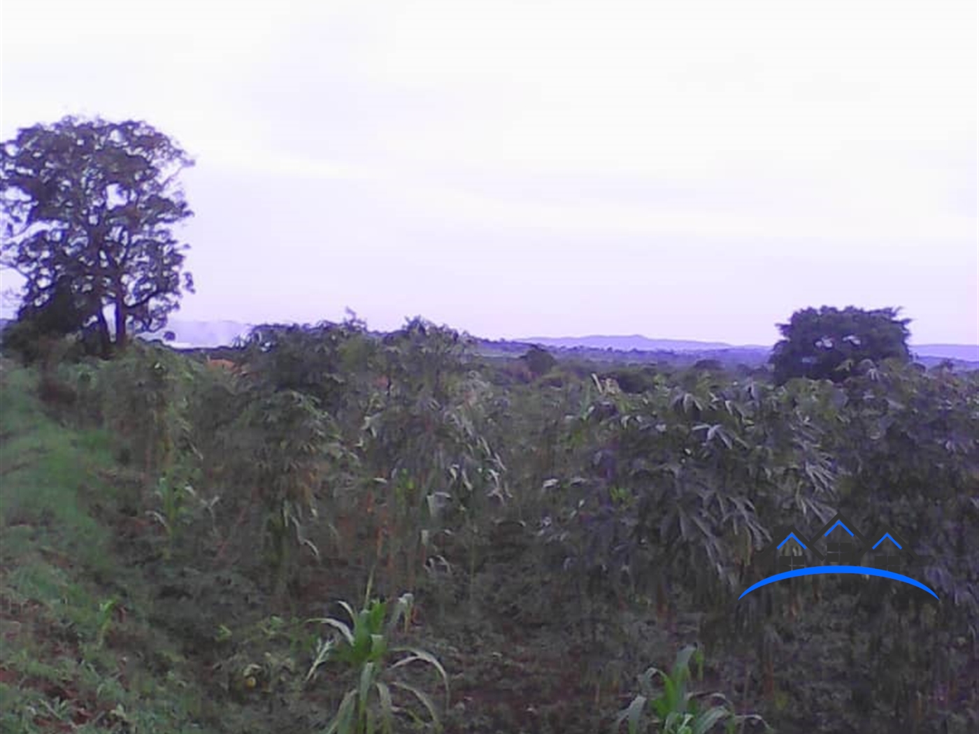 Multipurpose Land for sale in Nabisojjo Nakaseke