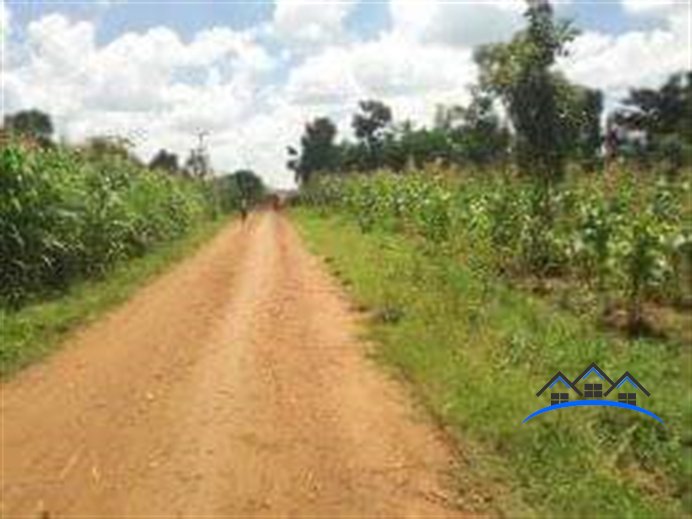 Multipurpose Land for sale in Kakooge Luweero