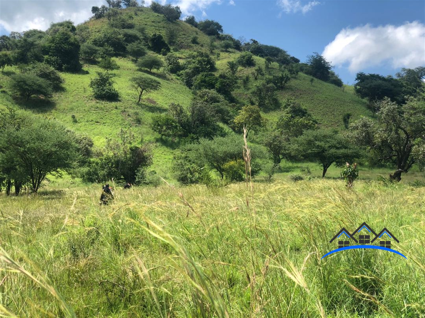 Multipurpose Land for sale in Buhaguzi Hoima