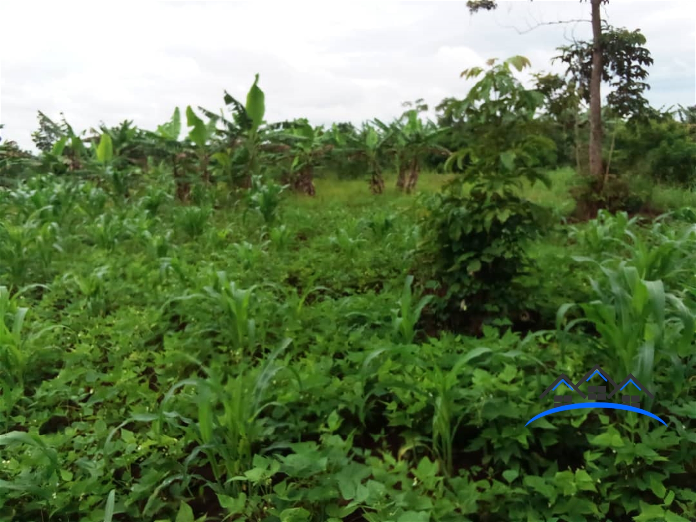 Residential Land for sale in Busiika Luweero