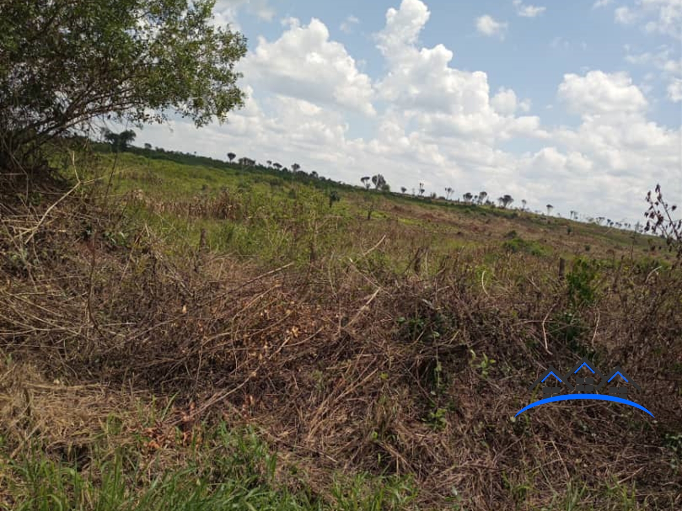 Agricultural Land for sale in Kalamba Mityana