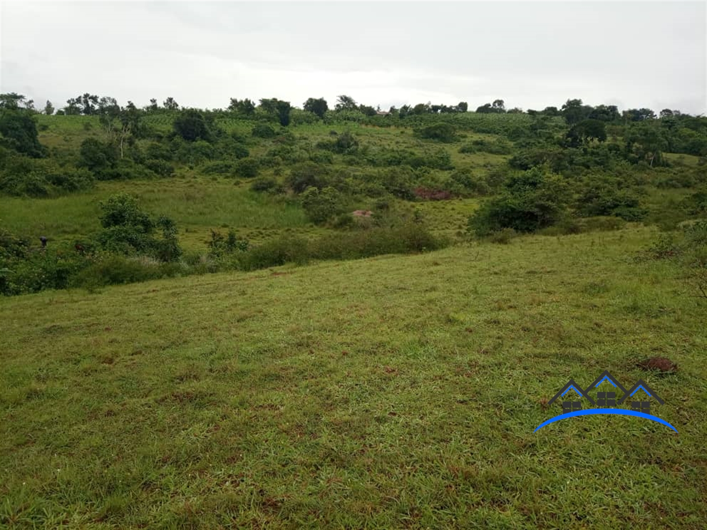 Multipurpose Land for sale in Mbilizi Masaka