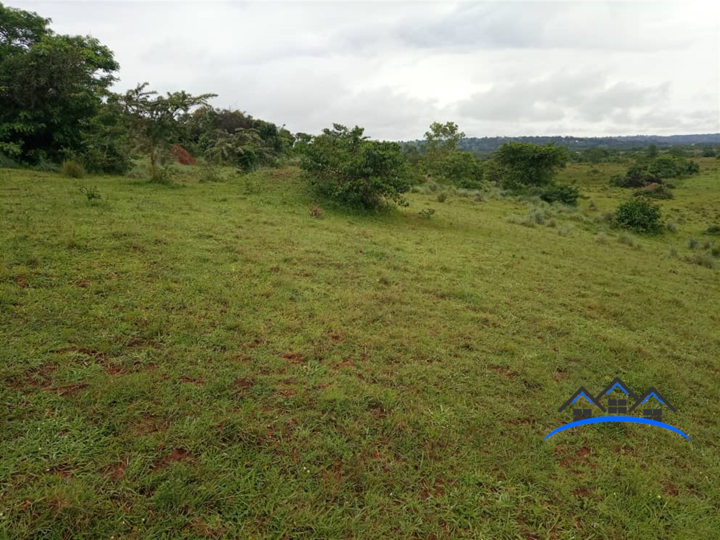 Multipurpose Land for sale in Mbilizi Masaka