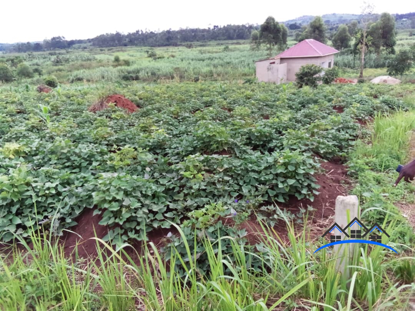 Residential Land for sale in Kijabijo Mukono