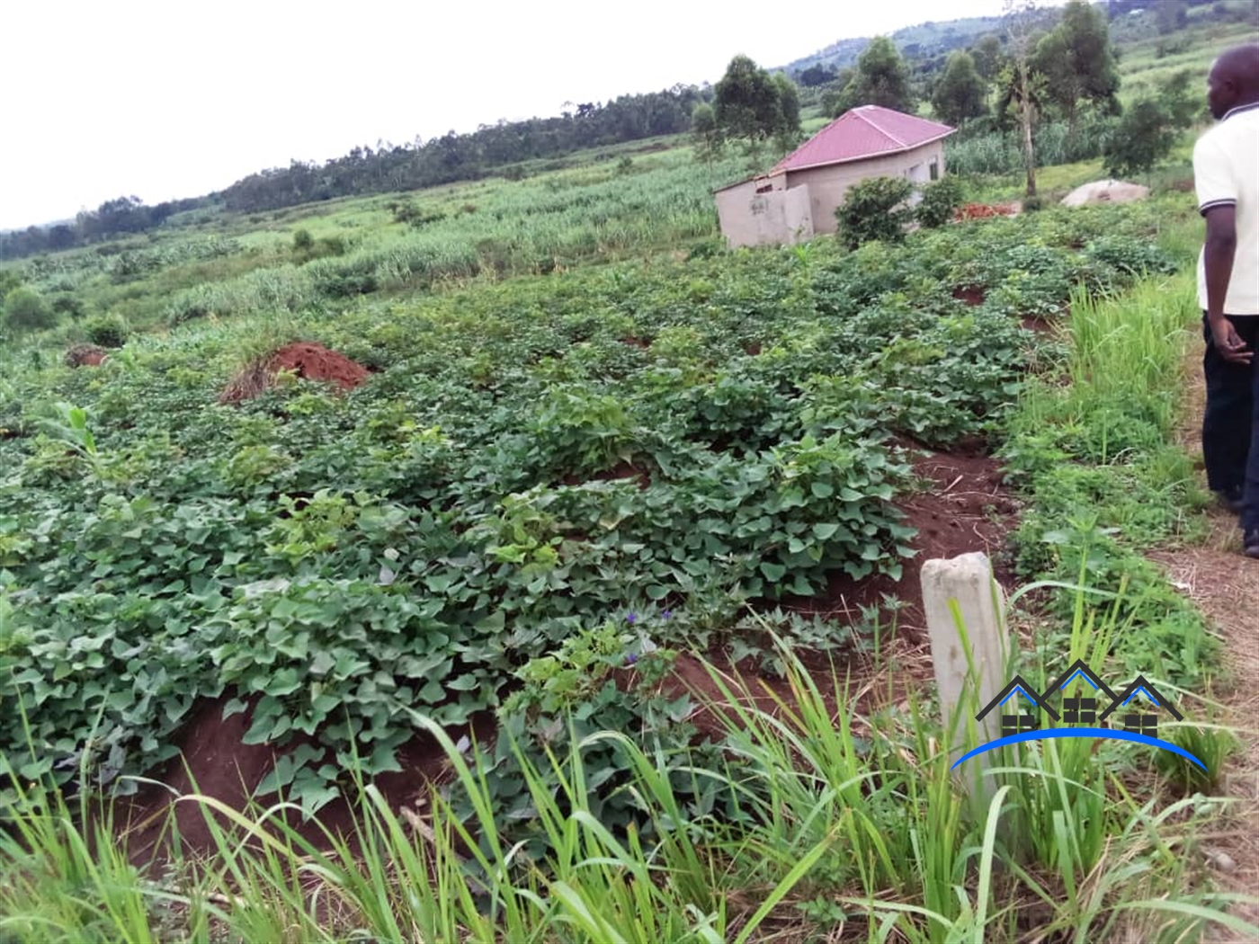 Residential Land for sale in Kijabijo Mukono