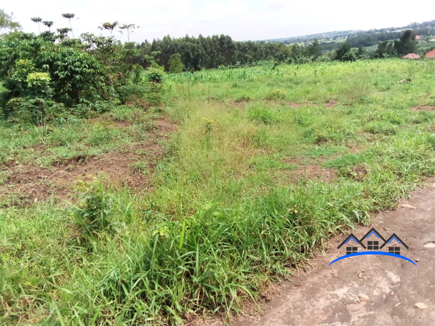 Multipurpose Land for sale in Busukuma Wakiso