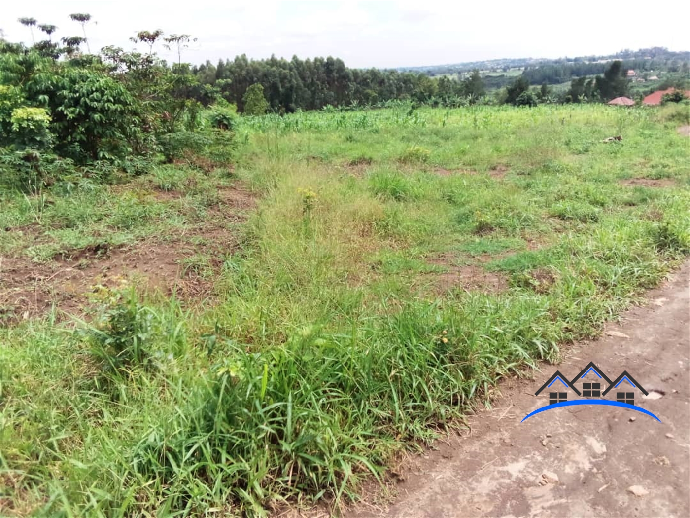 Multipurpose Land for sale in Busukuma Wakiso