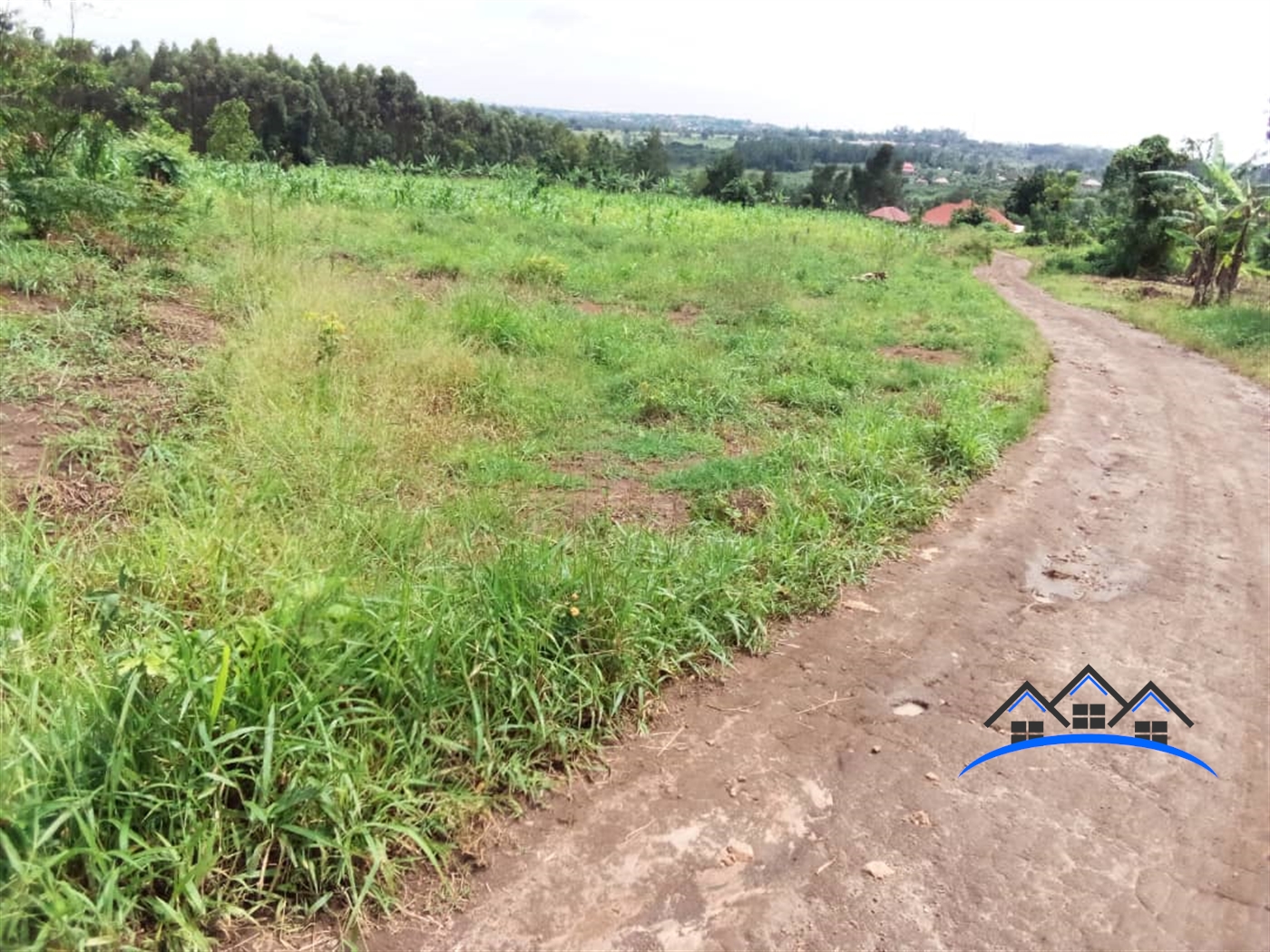 Multipurpose Land for sale in Busukuma Wakiso