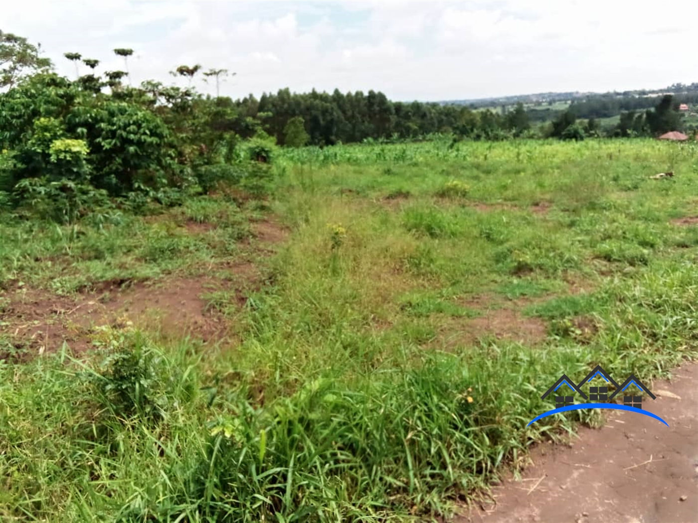 Multipurpose Land for sale in Busukuma Wakiso