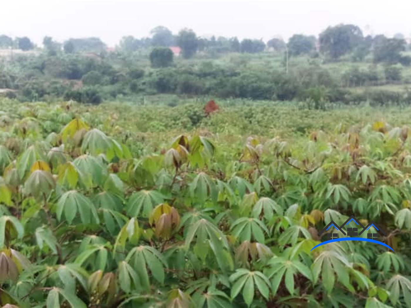 Multipurpose Land for sale in Nakweelo Wakiso