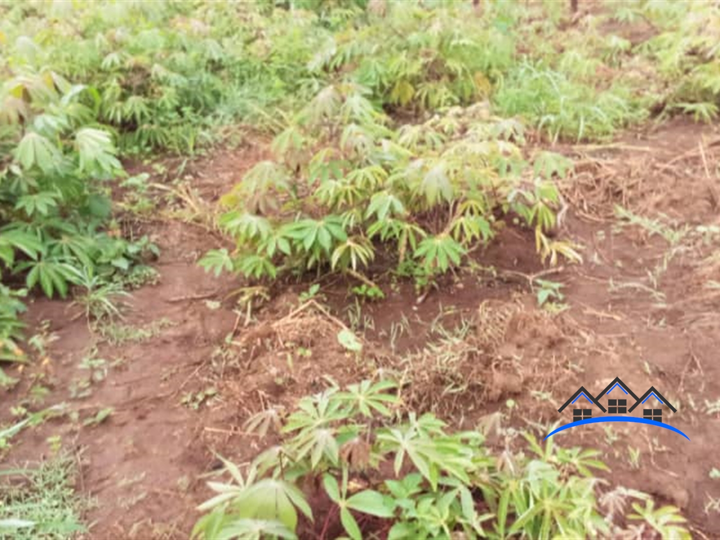 Multipurpose Land for sale in Nakweelo Wakiso