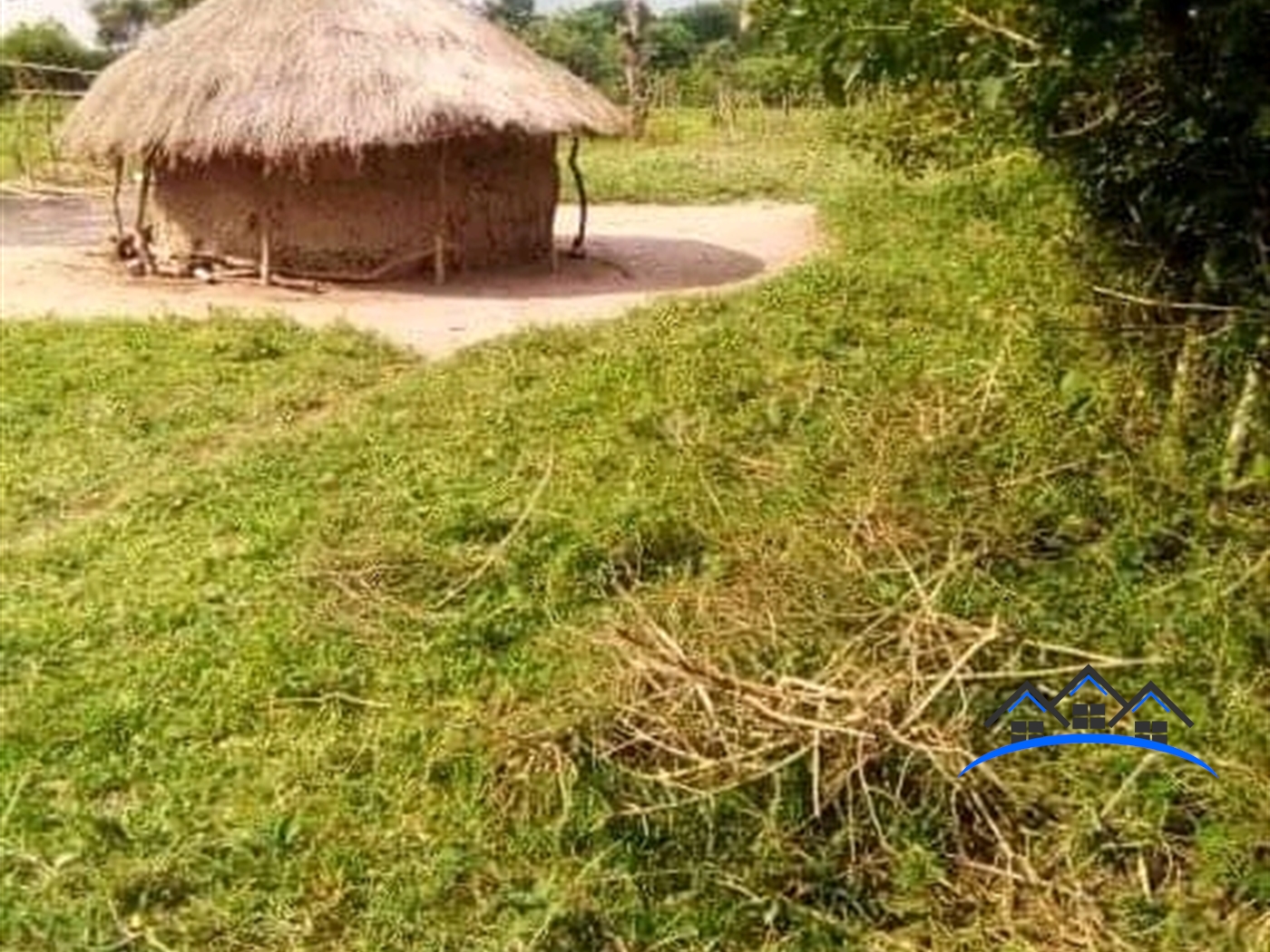 Agricultural Land for sale in Kasokwe Kayunga