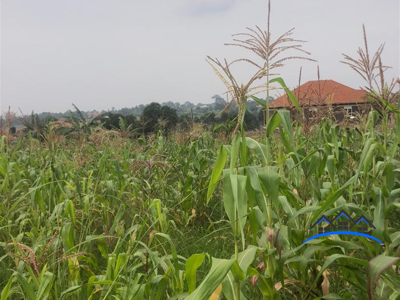 Residential Land for sale in Kira Wakiso