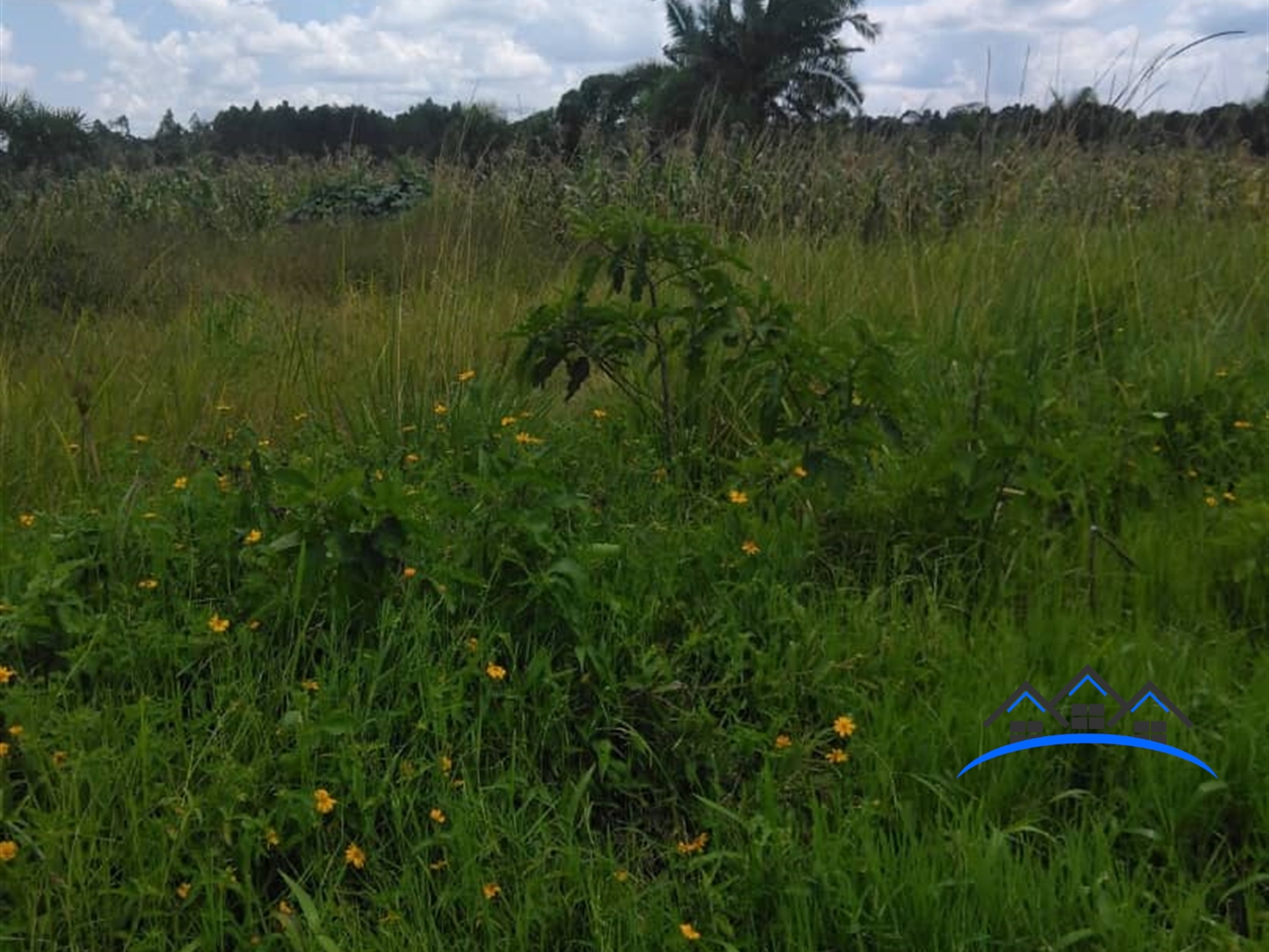 Agricultural Land for sale in Kanyanda Wakiso