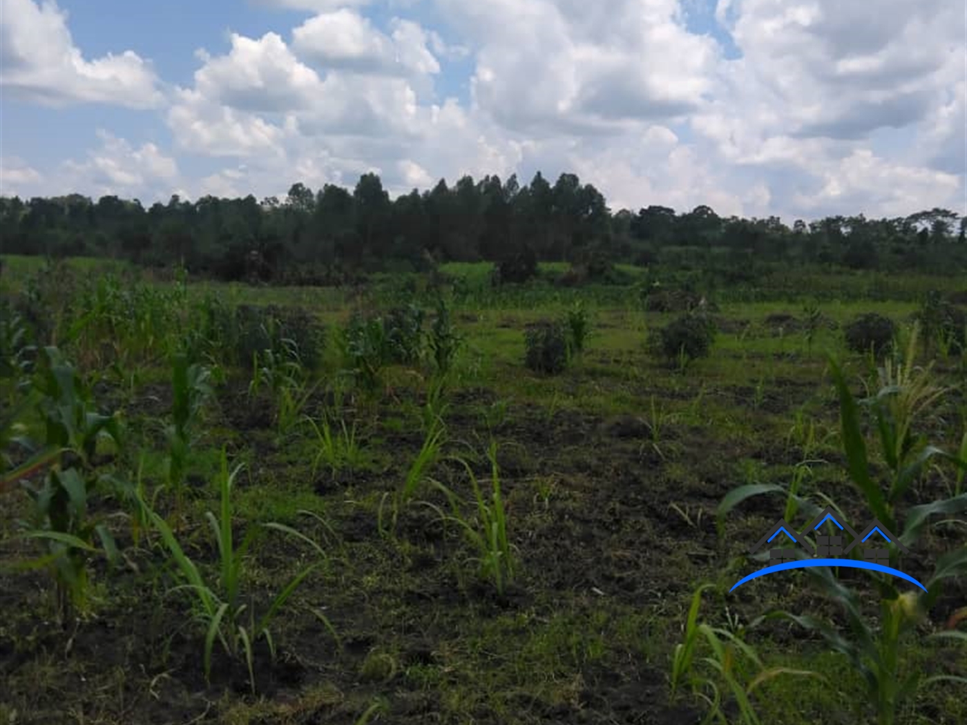 Agricultural Land for sale in Kanyanda Wakiso