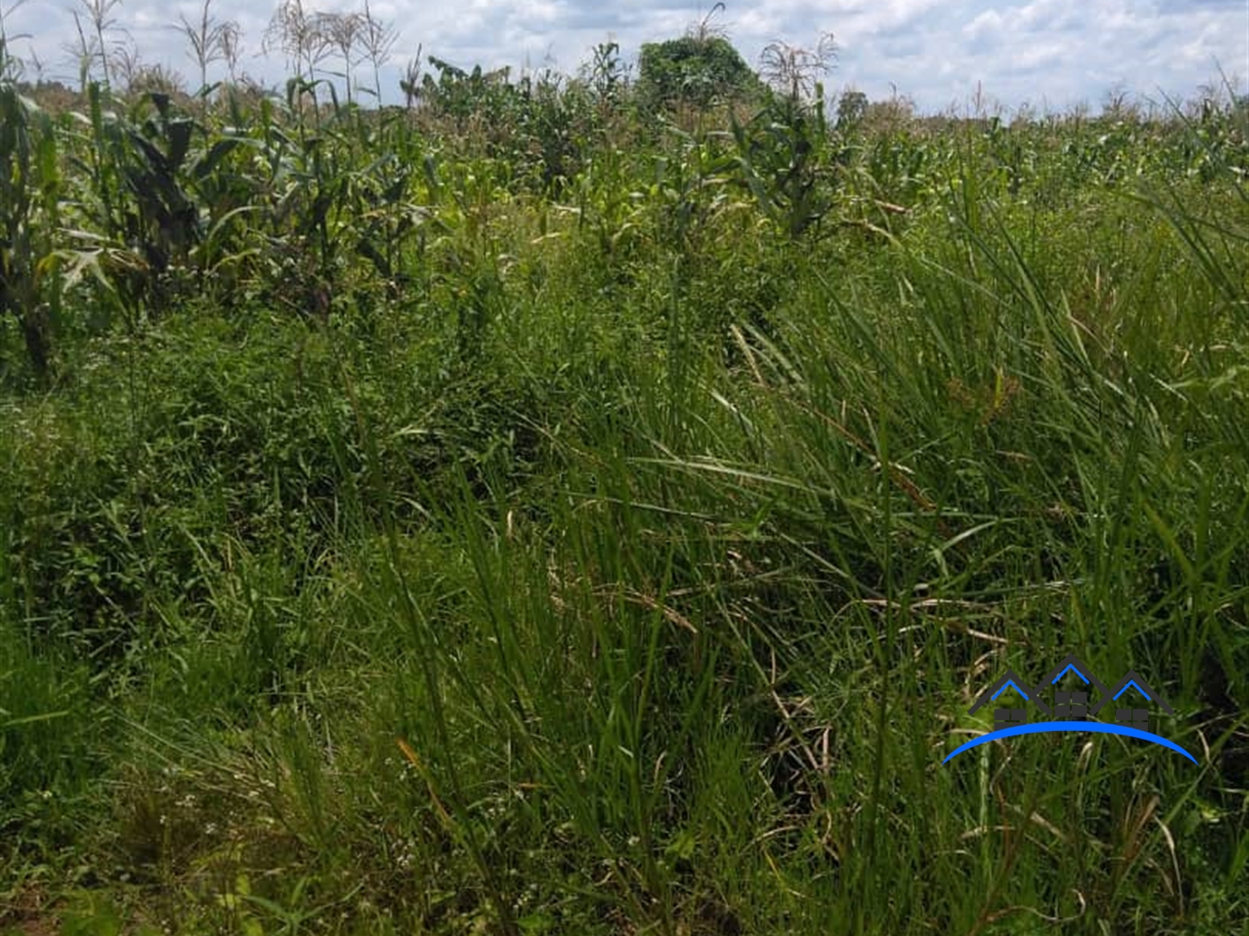 Agricultural Land for sale in Kanyanda Wakiso