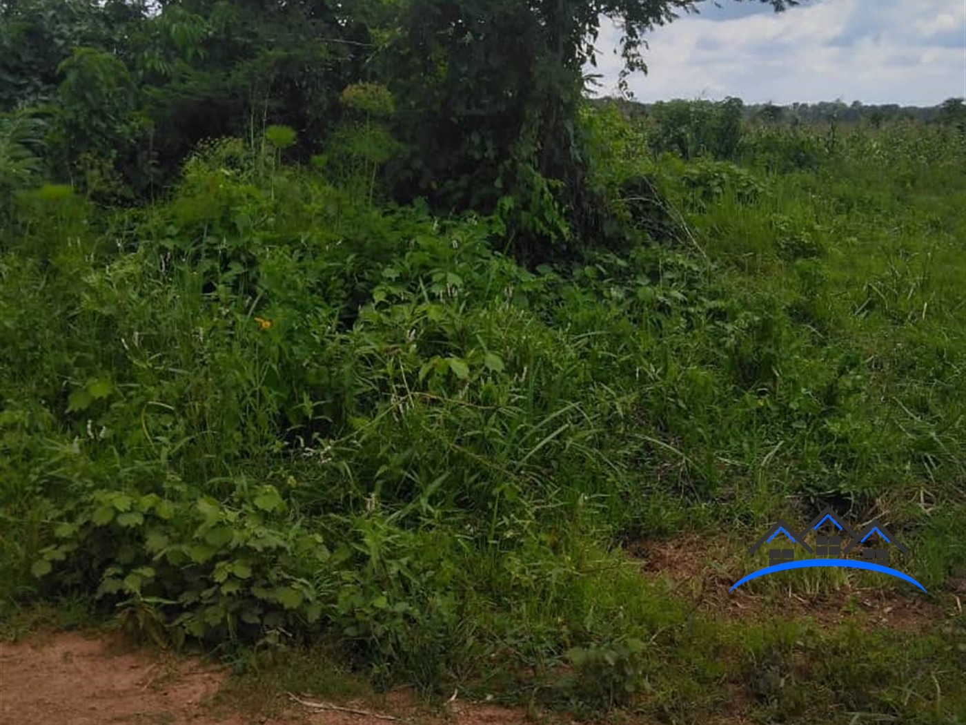 Agricultural Land for sale in Kanyanda Wakiso