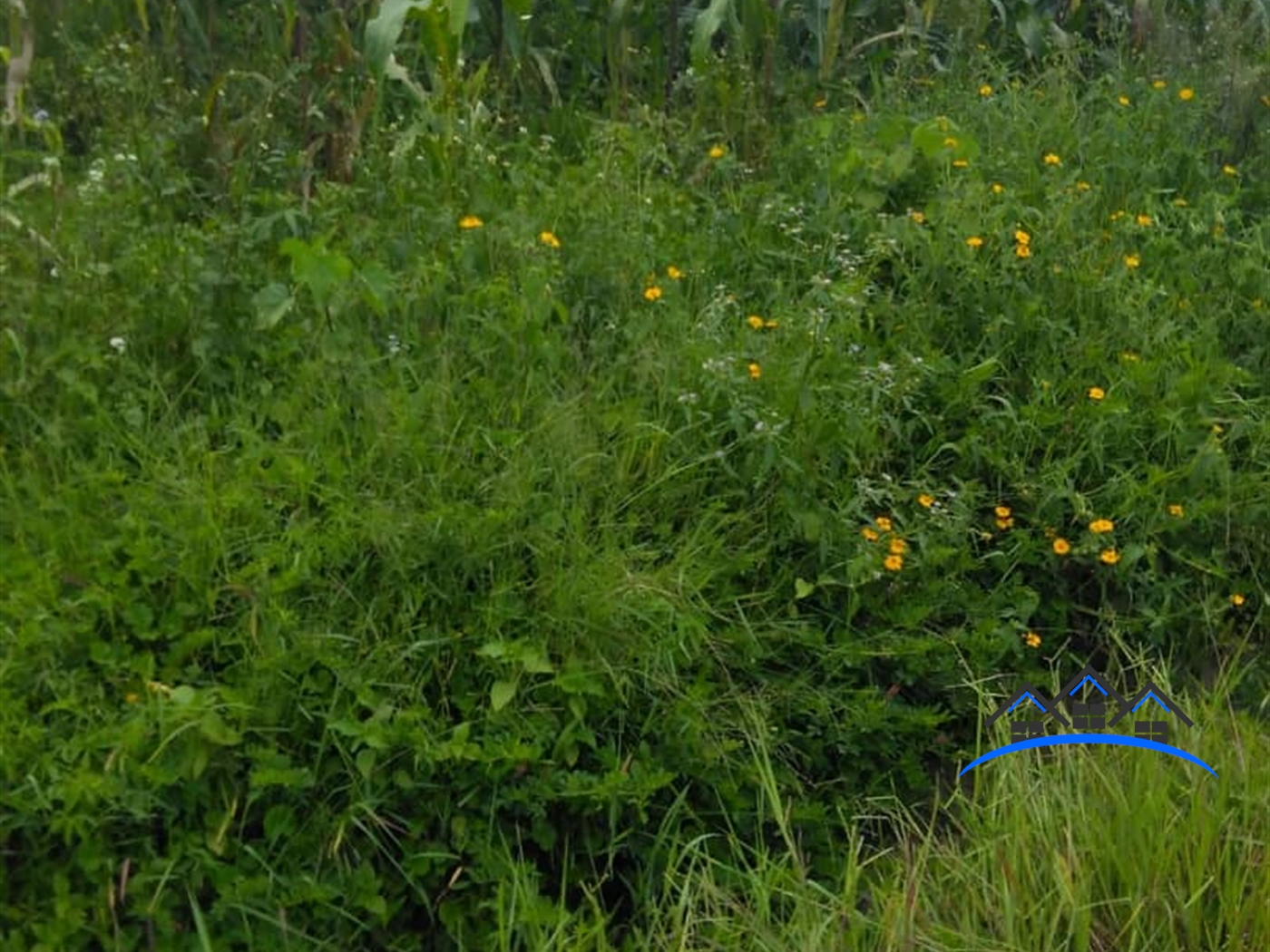 Agricultural Land for sale in Kanyanda Wakiso