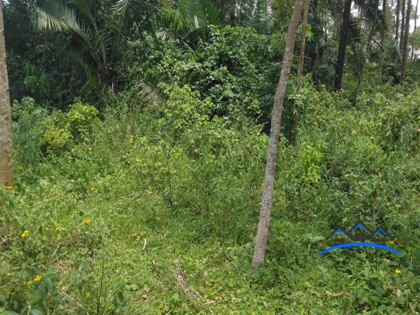 Agricultural Land for sale in Kanyanda Wakiso