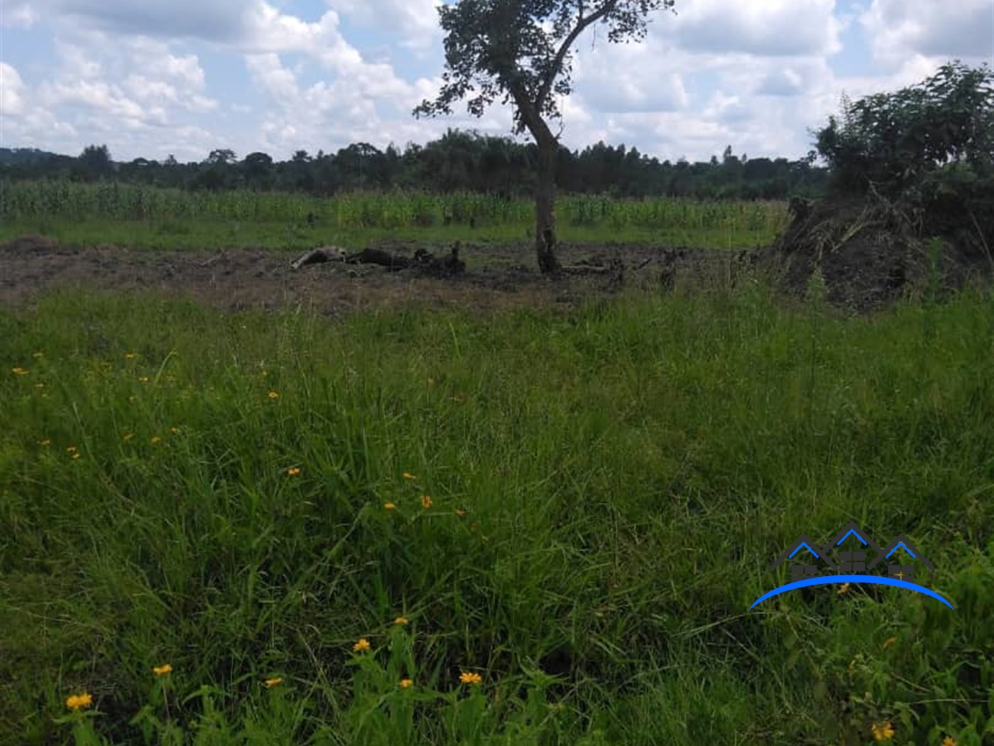 Agricultural Land for sale in Kanyanda Wakiso