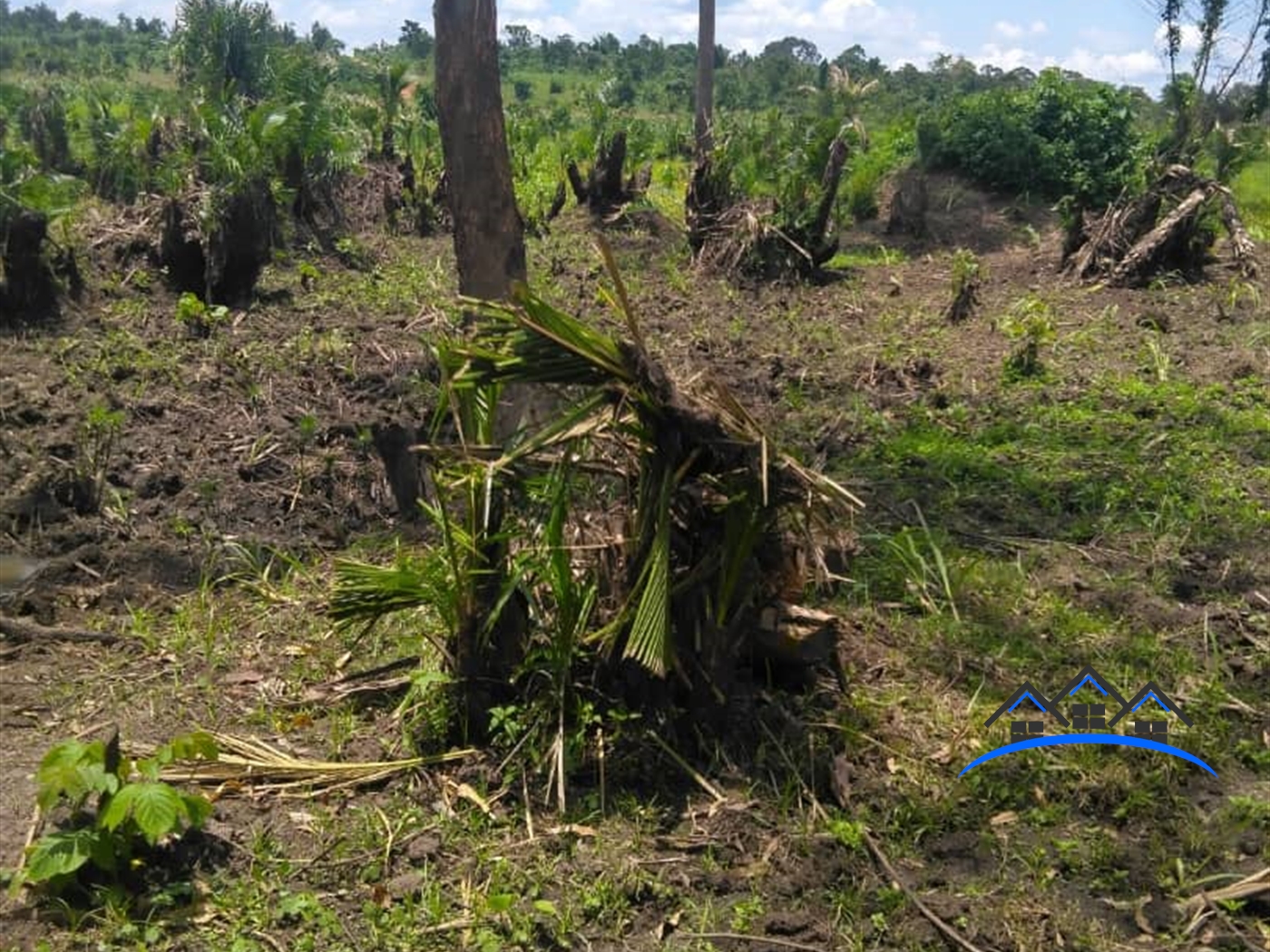 Agricultural Land for sale in Kanyanda Wakiso