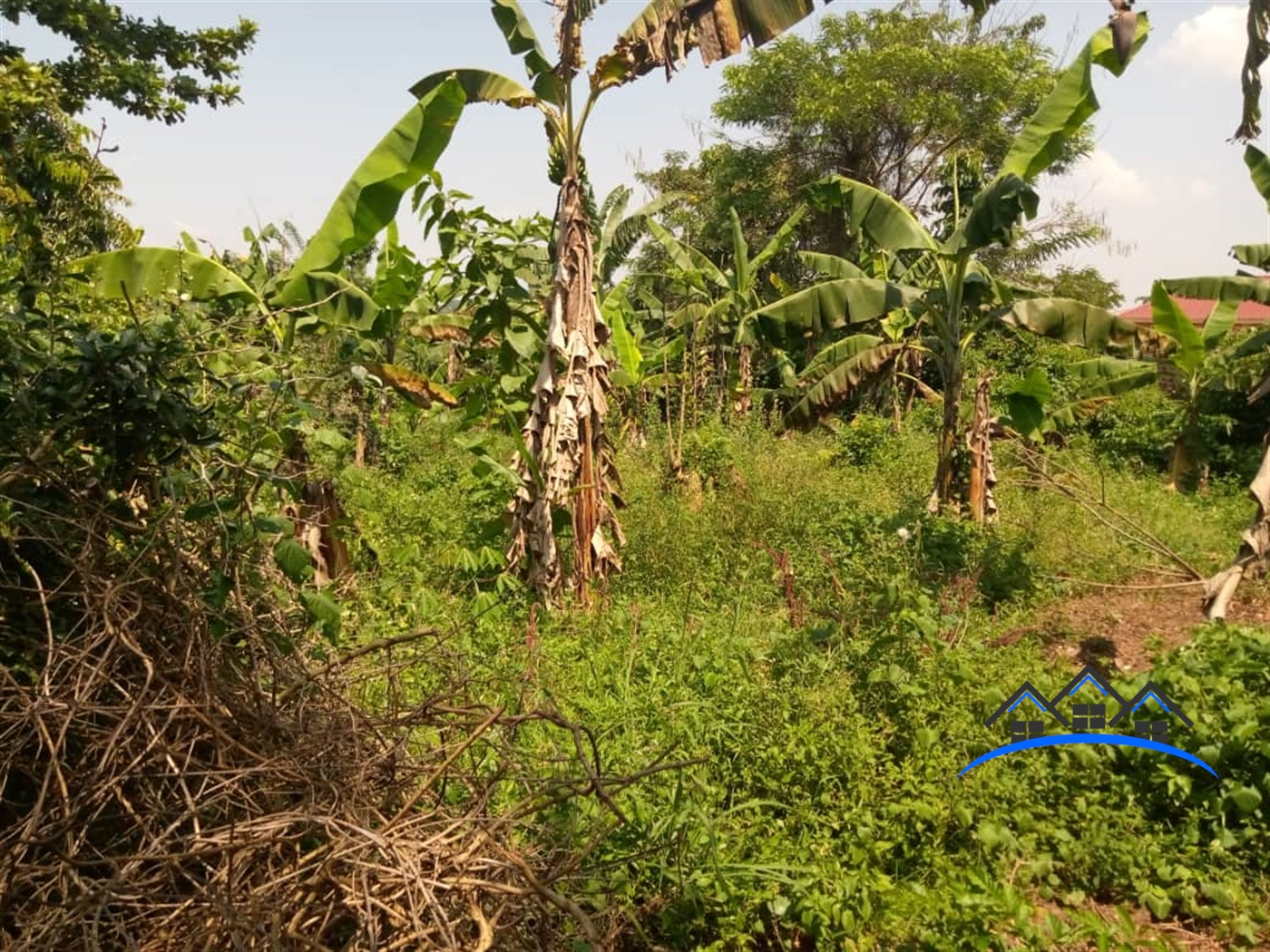 Bungalow for sale in Buyera Wakiso