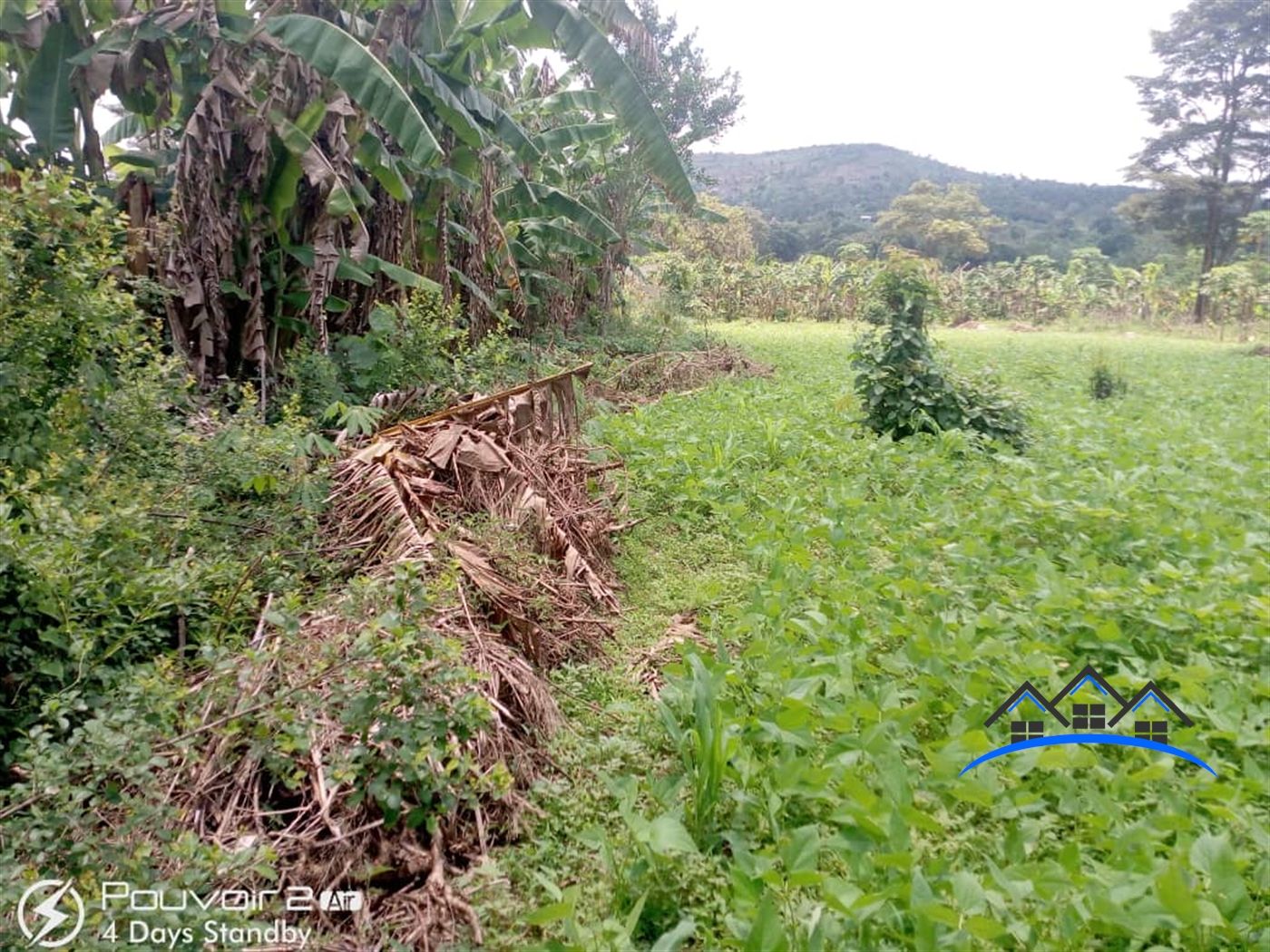 Agricultural Land for sale in Kasoozi Wakiso