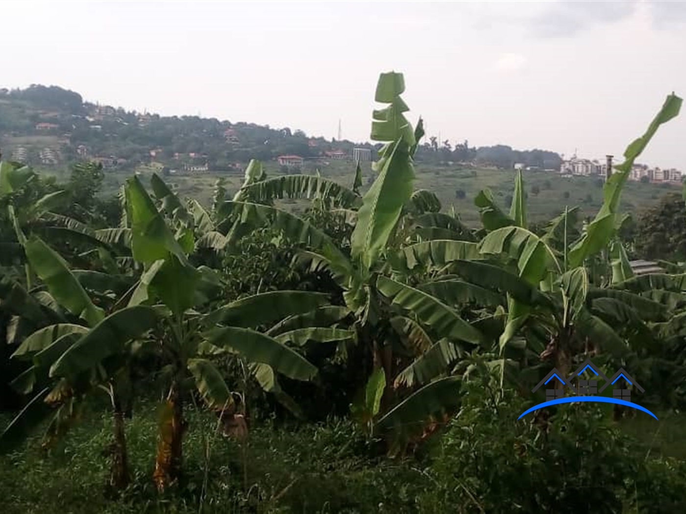 Residential Land for sale in Mutungo Kampala