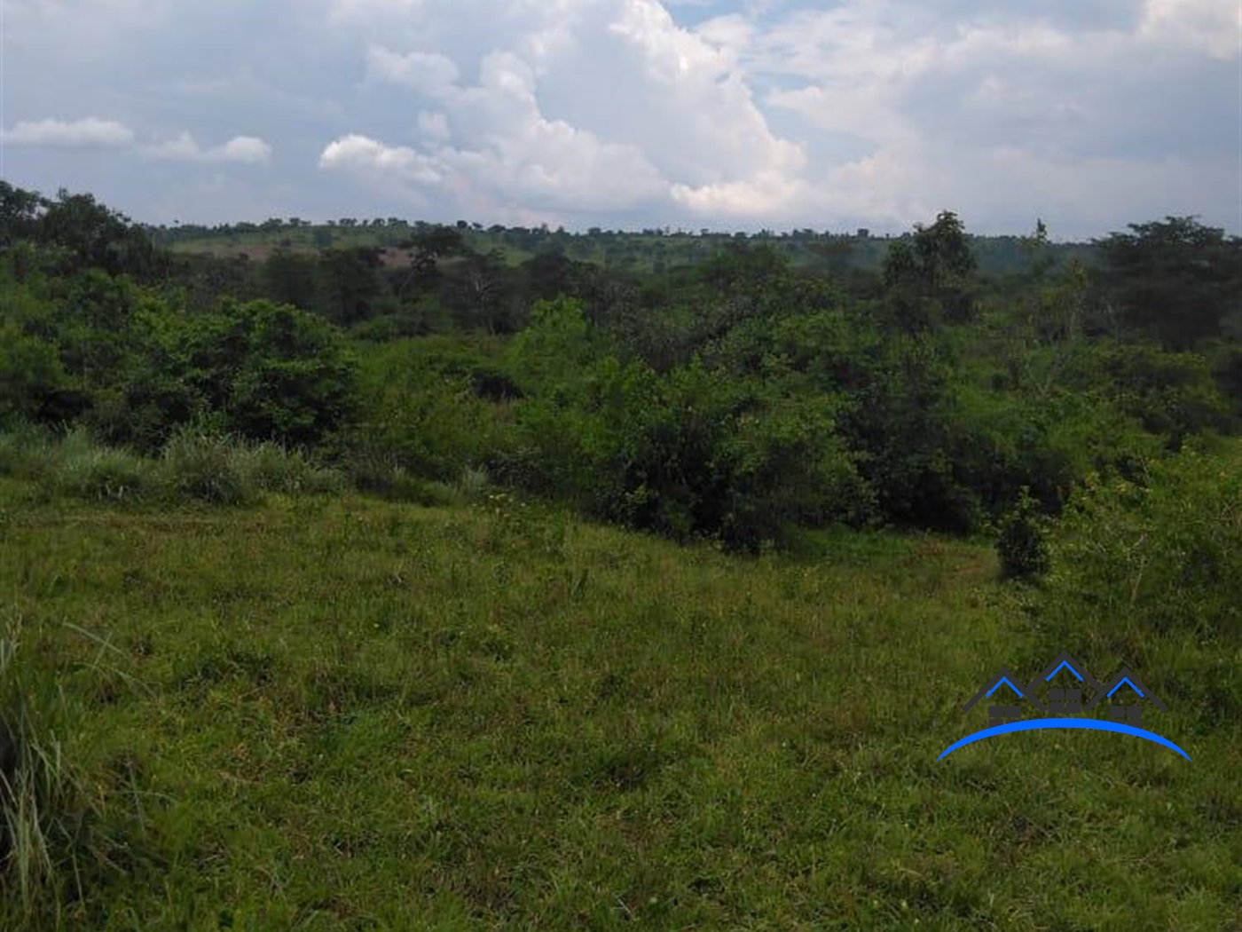 Agricultural Land for sale in Gomba Mpigi