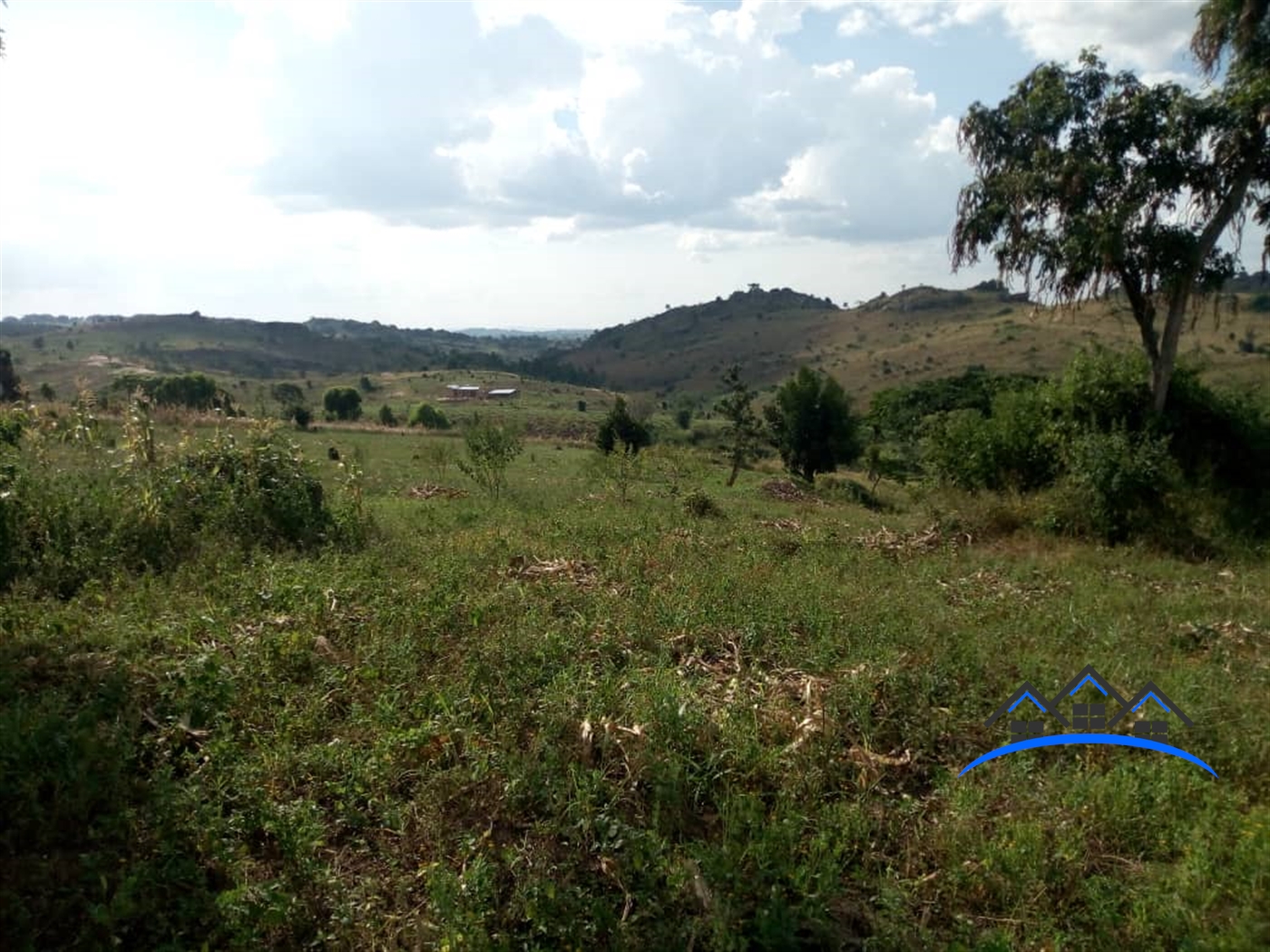 Agricultural Land for sale in Central Mubende