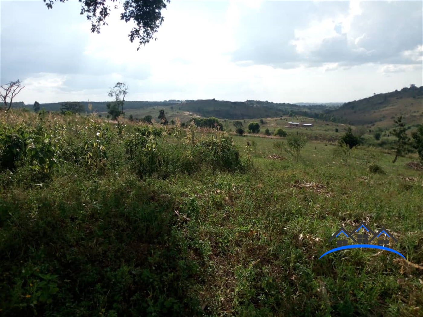 Agricultural Land for sale in Central Mubende