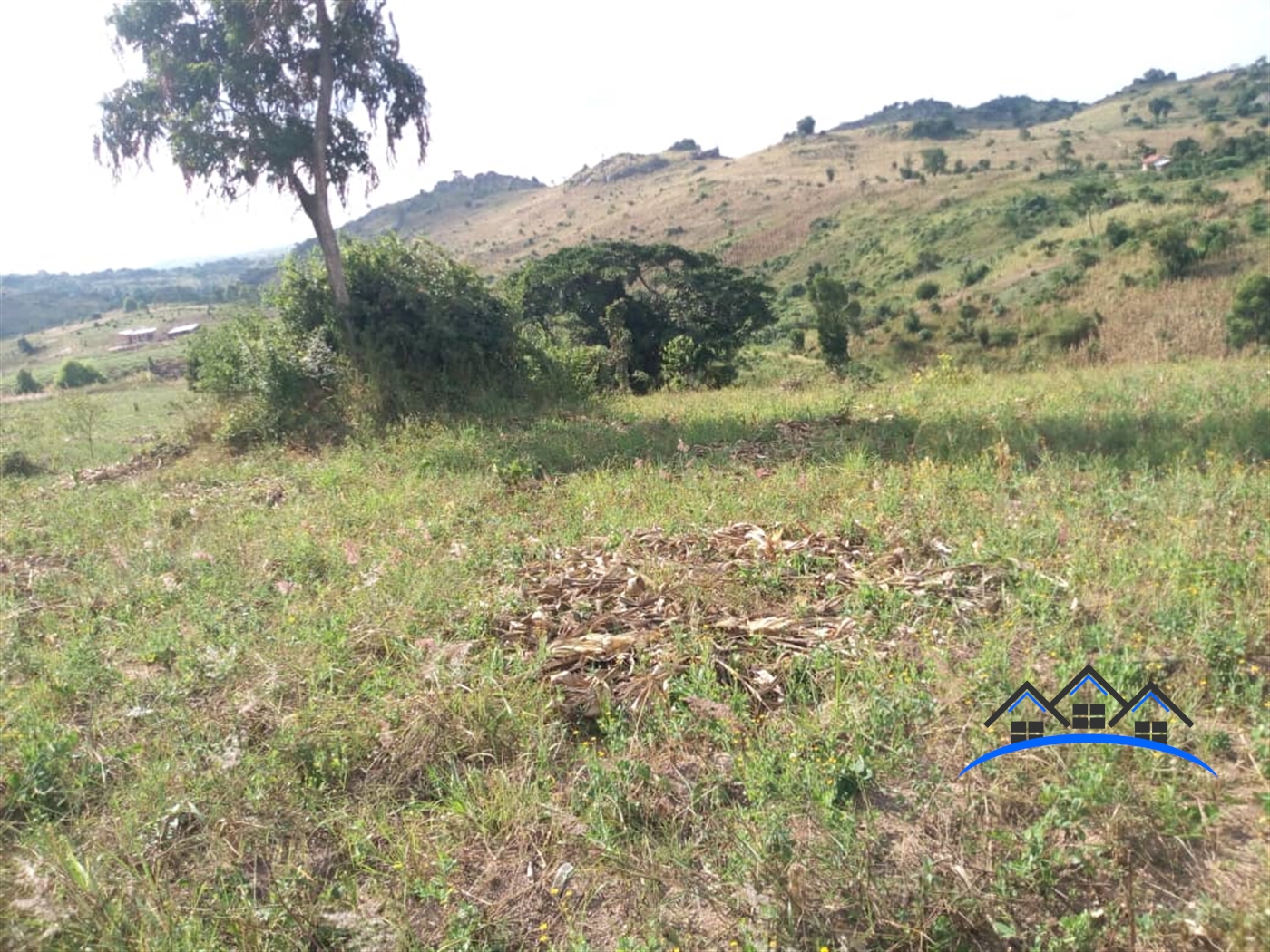 Agricultural Land for sale in Central Mubende