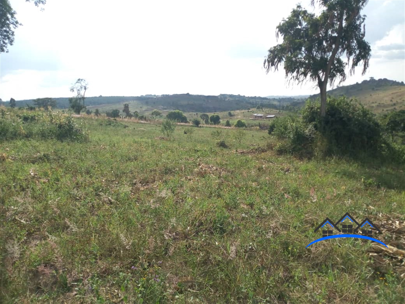 Agricultural Land for sale in Central Mubende