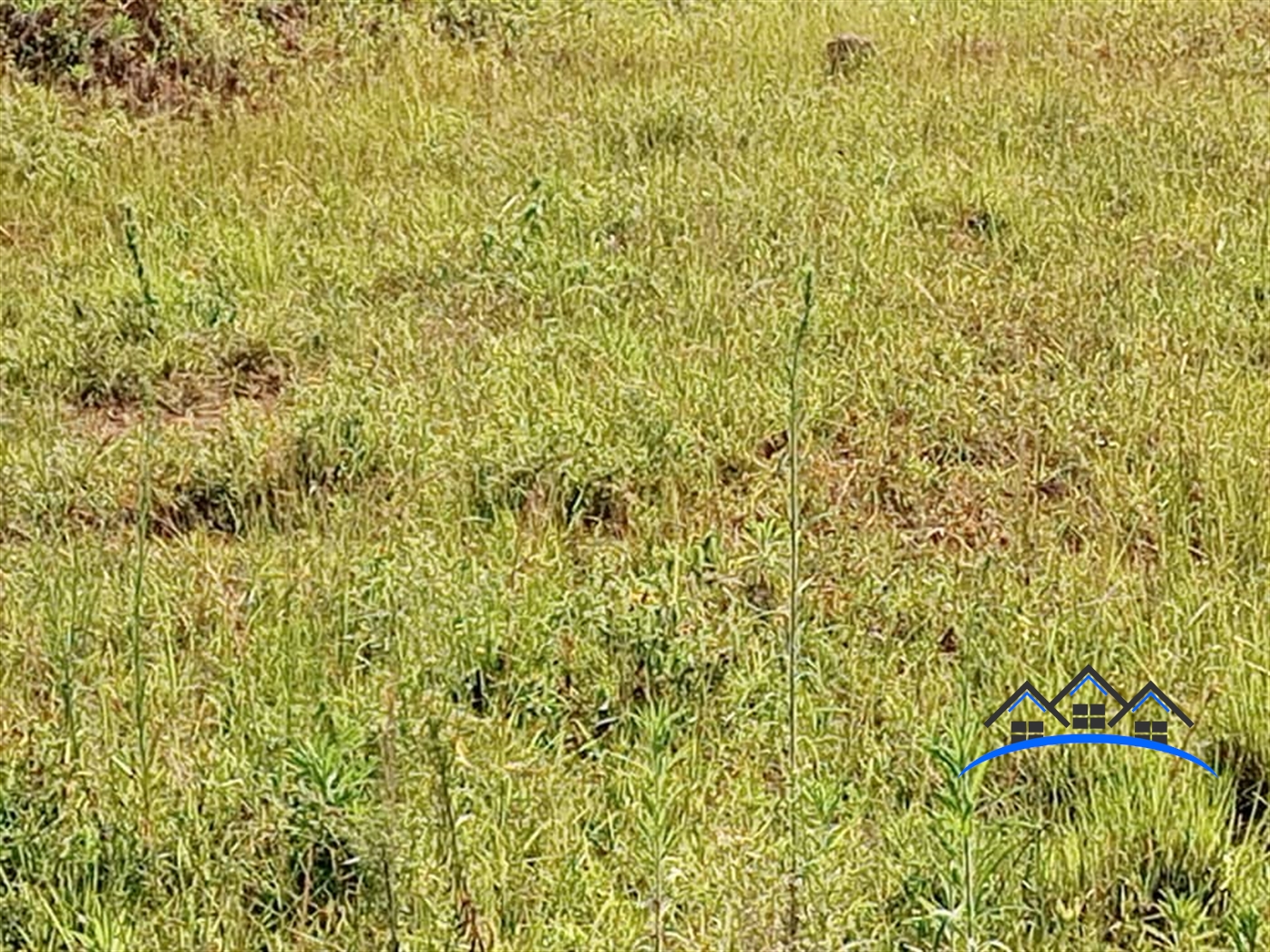 Residential Land for sale in Kira Wakiso