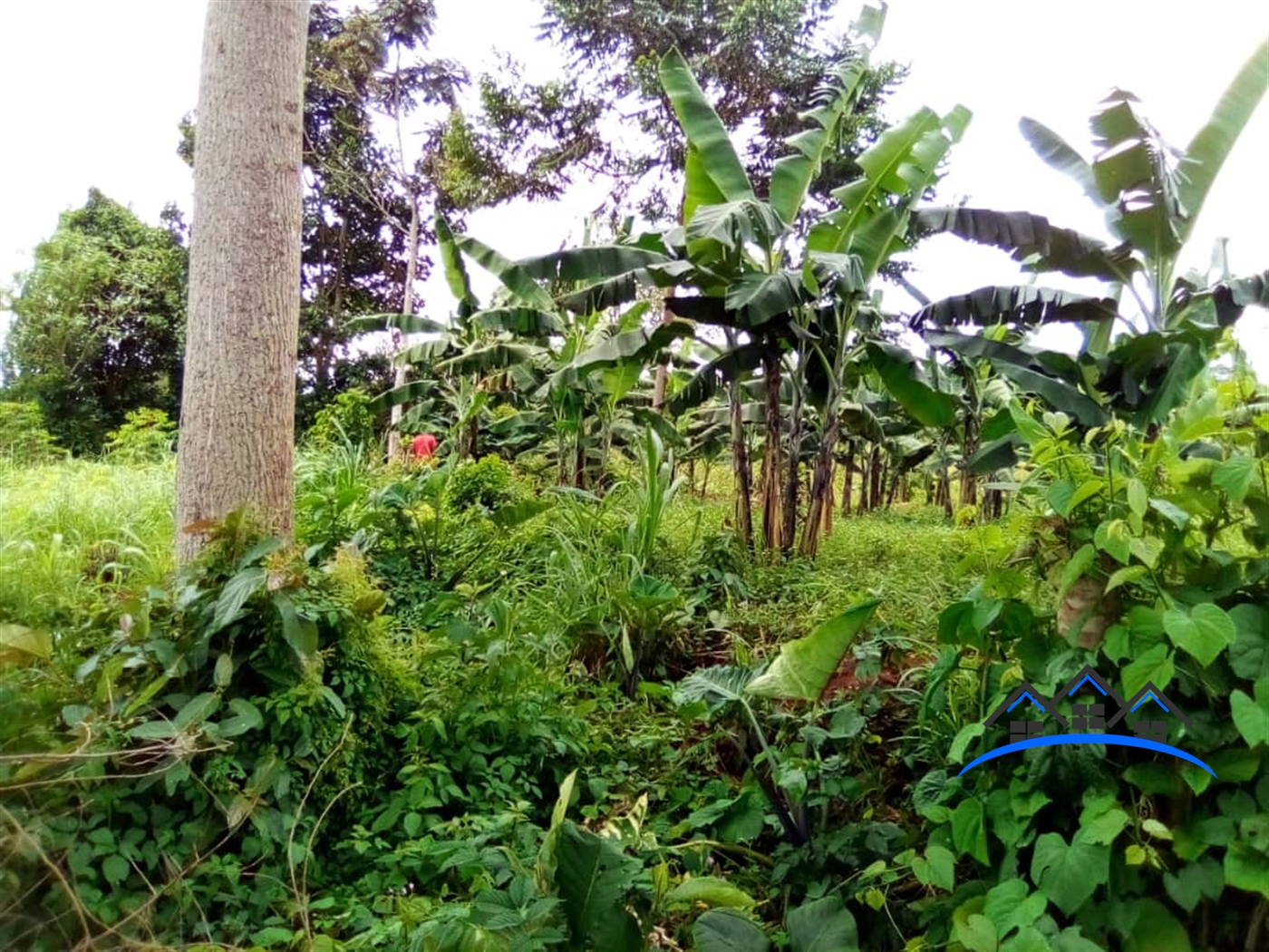 Residential Land for sale in Ntenjjeru Mukono