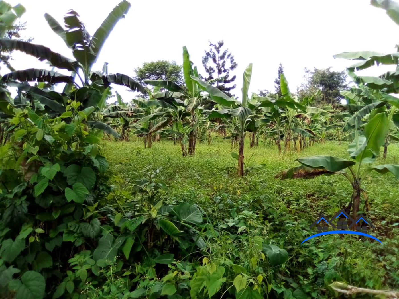 Residential Land for sale in Ntenjjeru Mukono