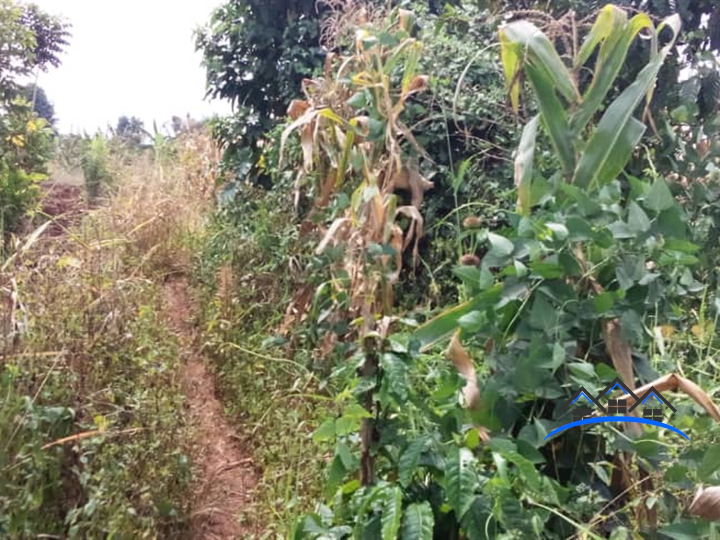 Residential Land for sale in Busiika Luweero