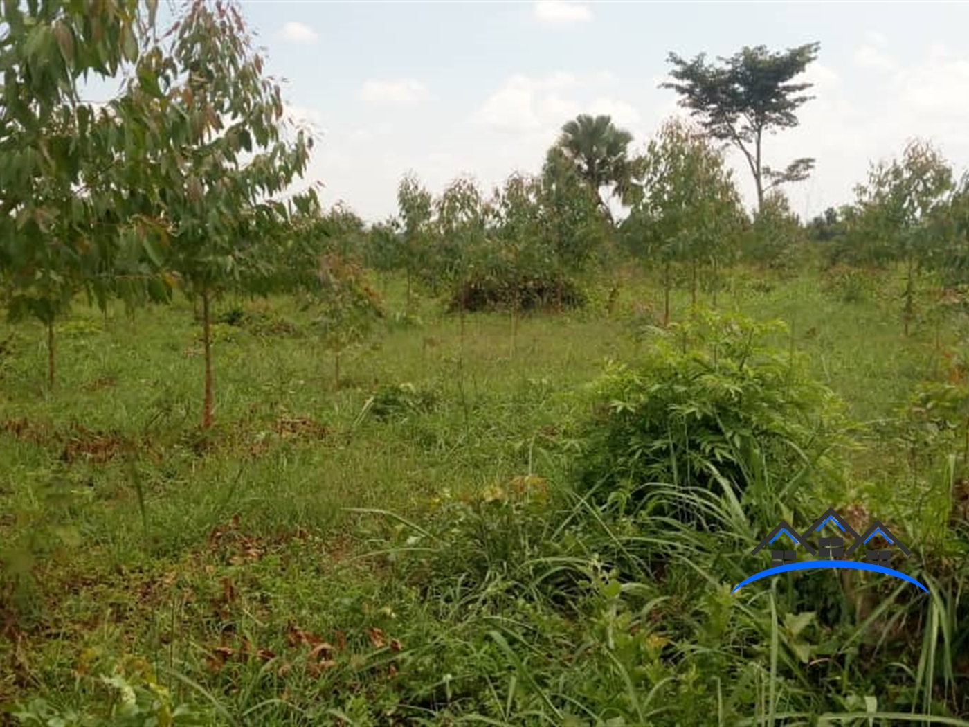 Agricultural Land for sale in Kikyuusa Wakiso