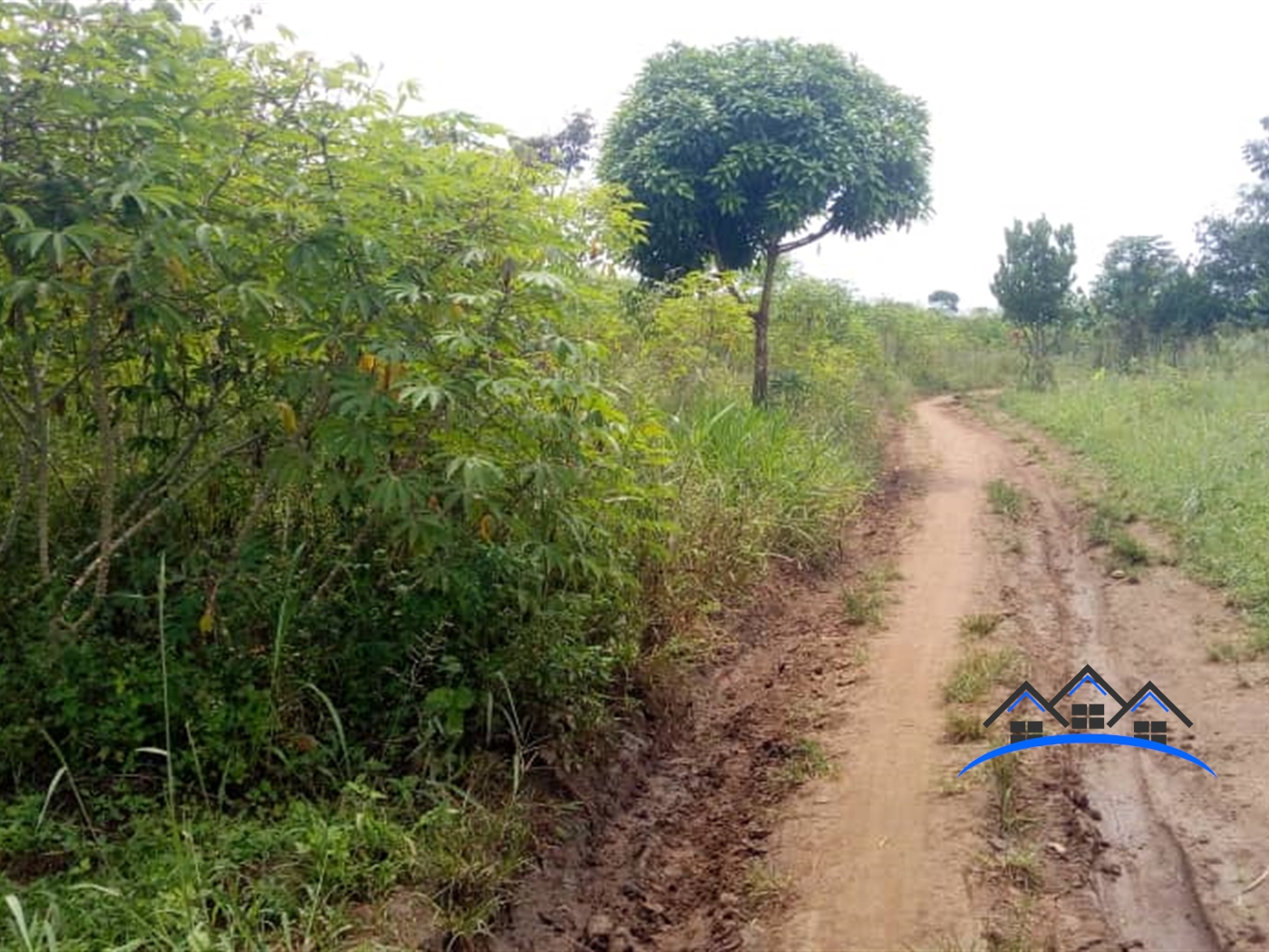 Agricultural Land for sale in Kikyuusa Wakiso