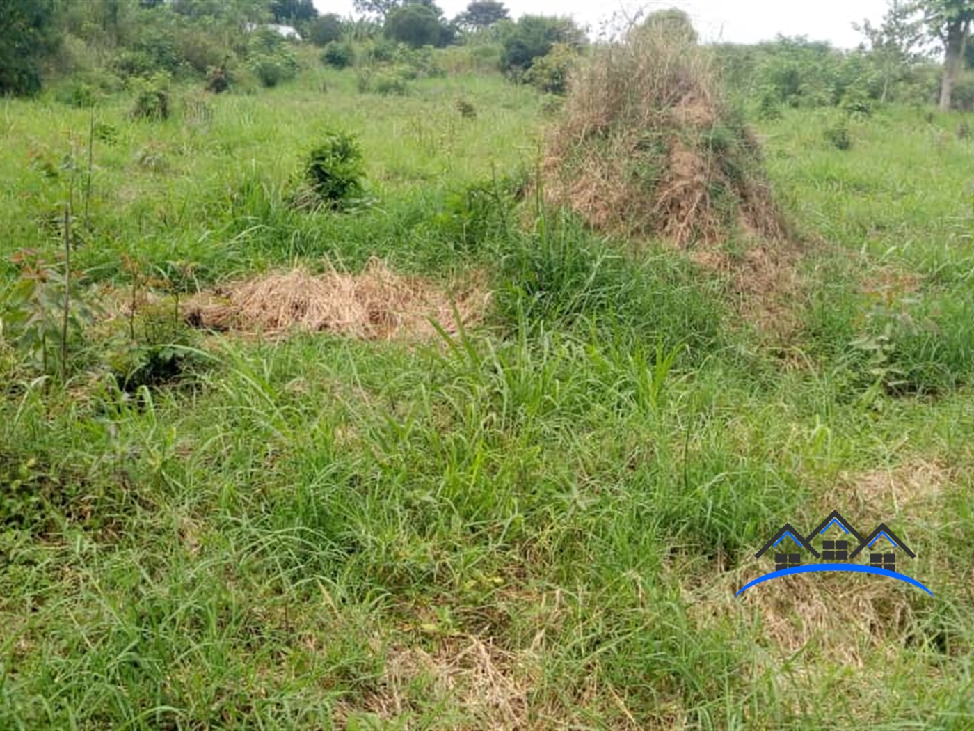 Agricultural Land for sale in Kikyuusa Wakiso