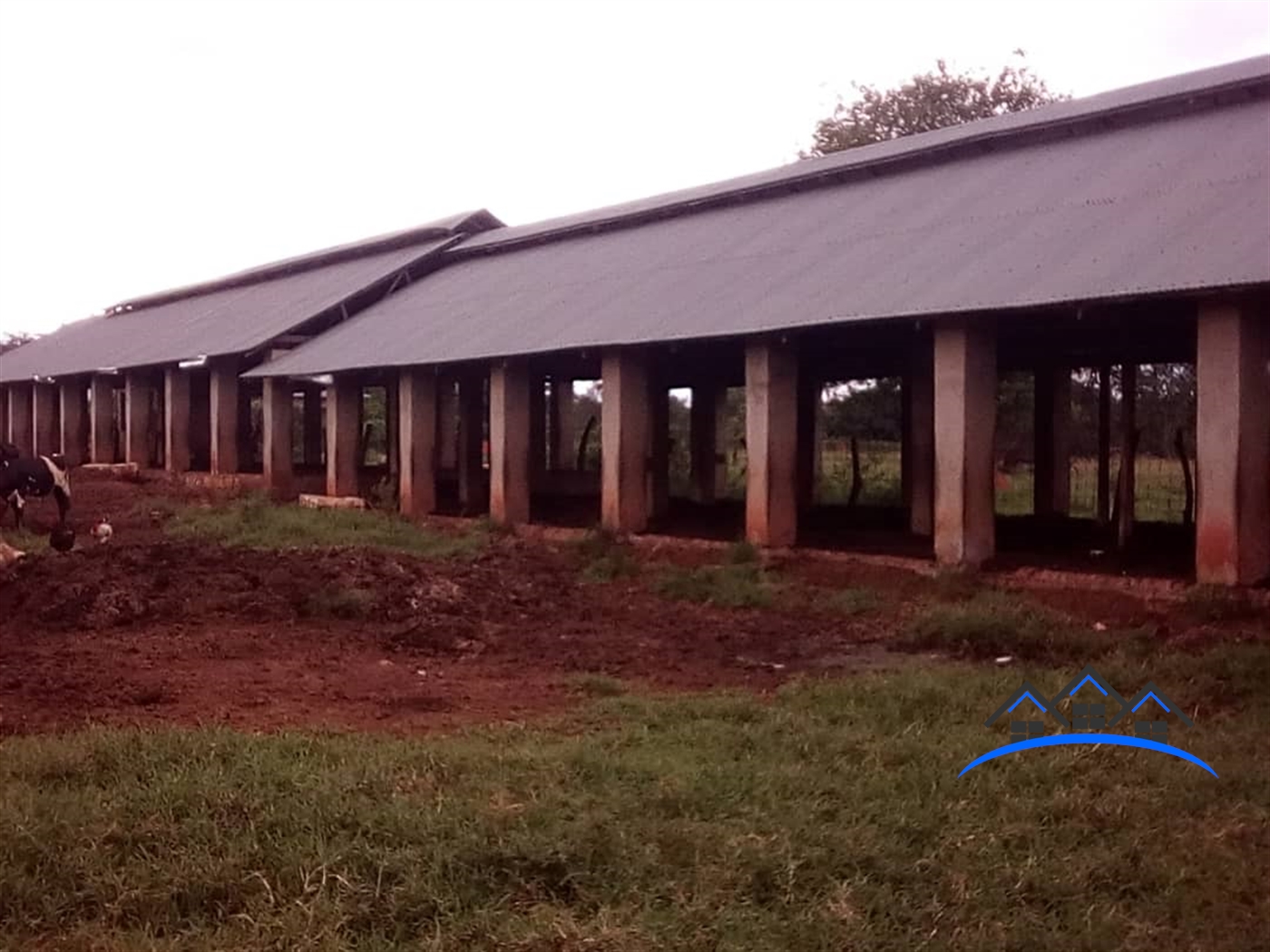 Farm for sale in Kapeeka Nakaseke