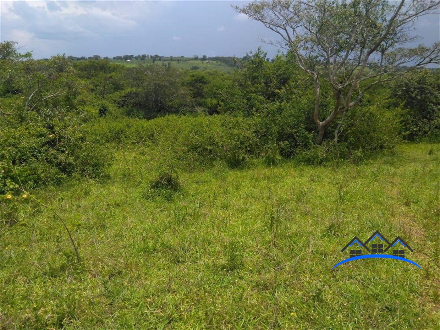 Agricultural Land for sale in Central Gomba