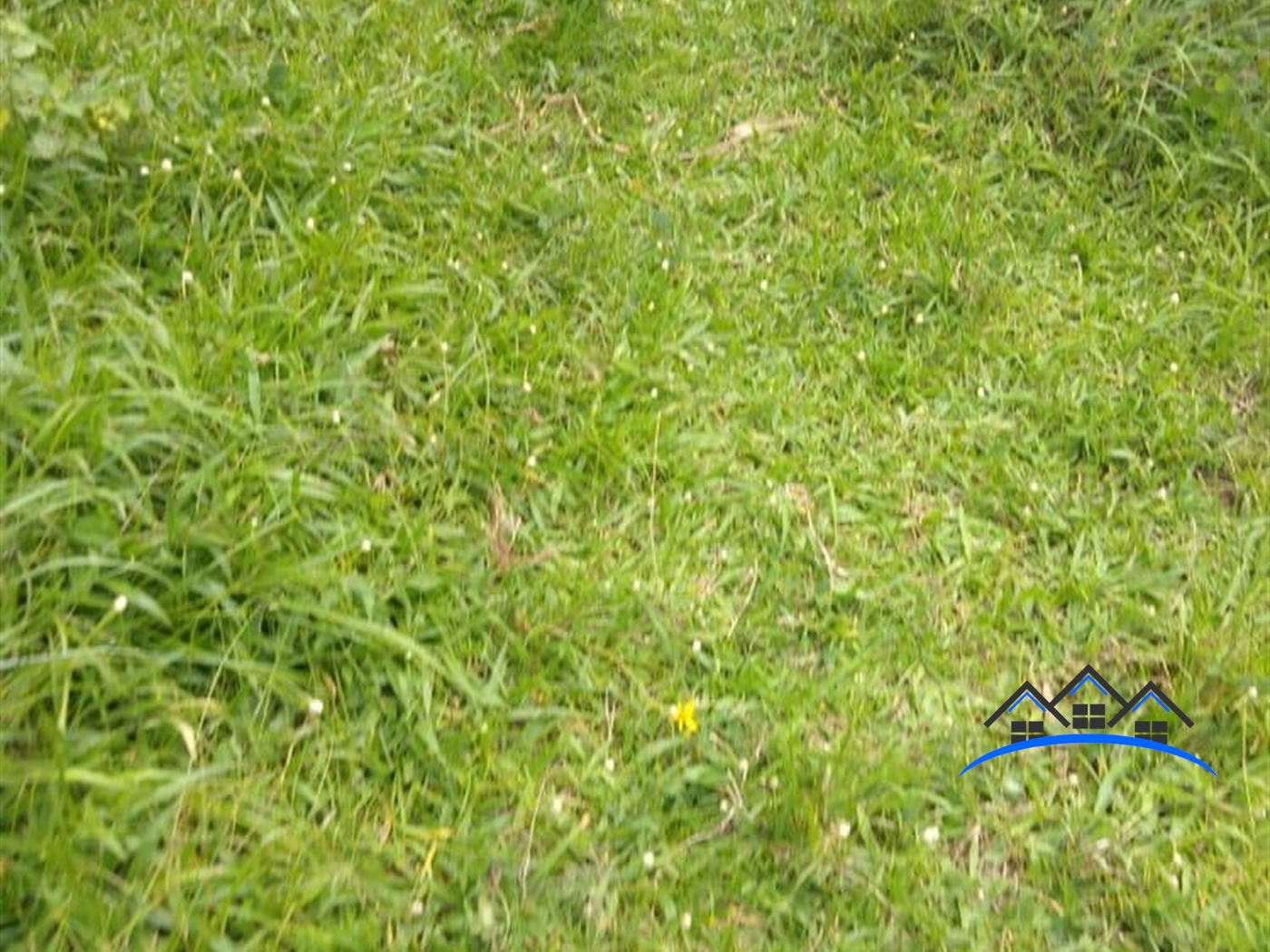 Agricultural Land for sale in Central Gomba