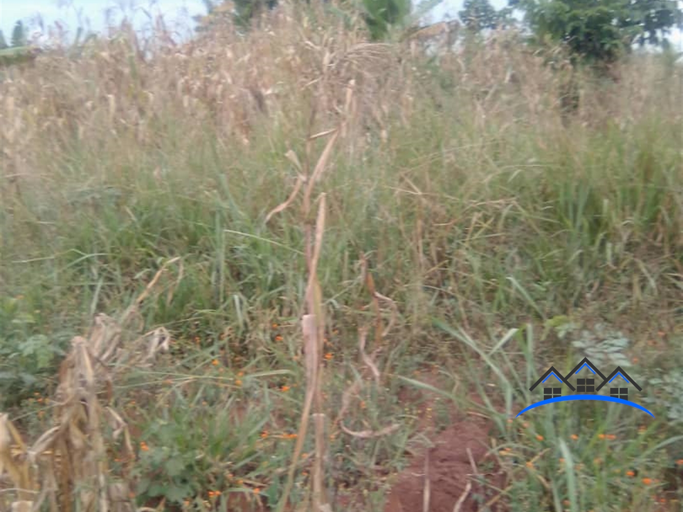 Residential Land for sale in Kitto Luweero