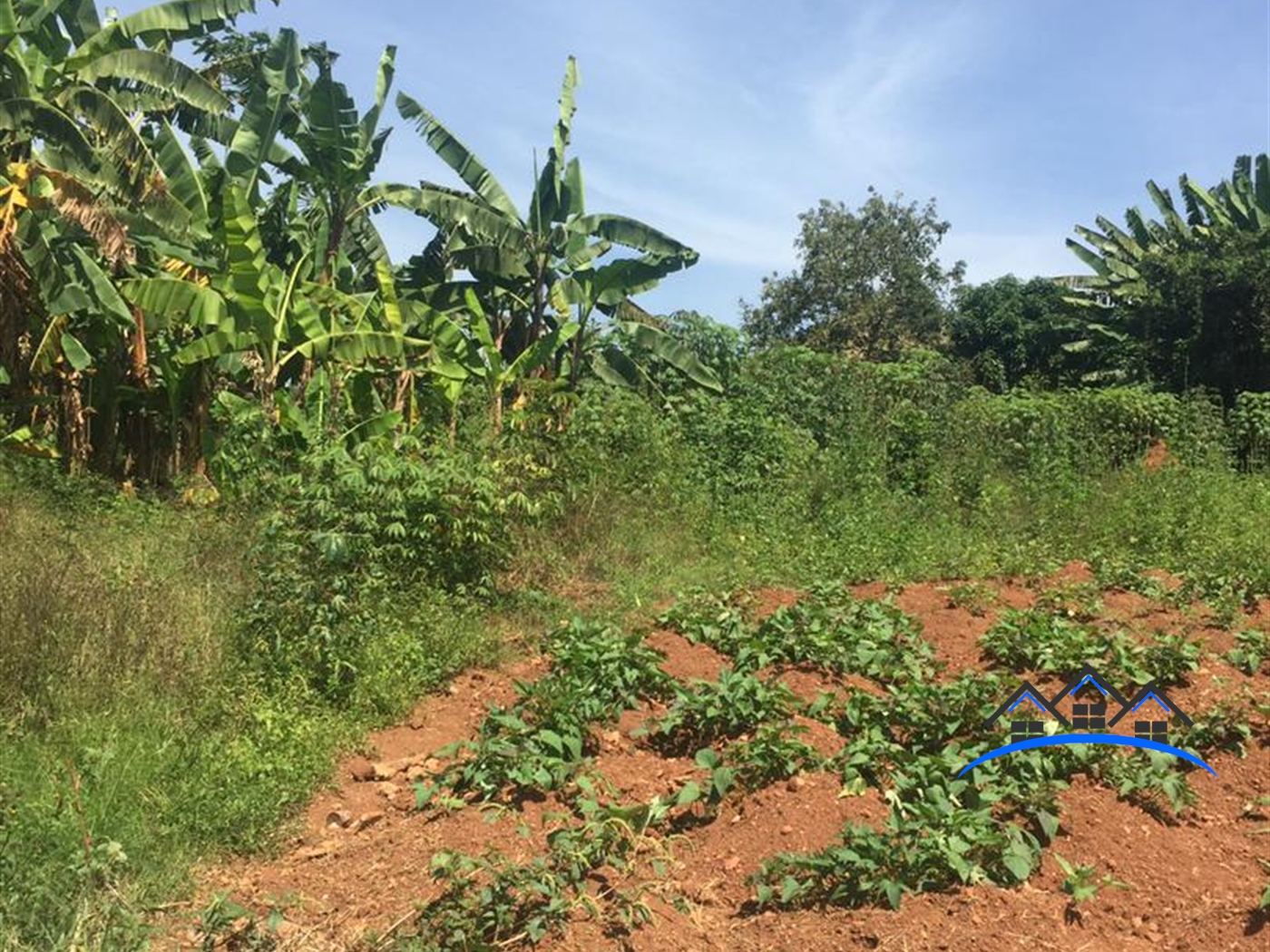 Residential Land for sale in Namulanda Wakiso