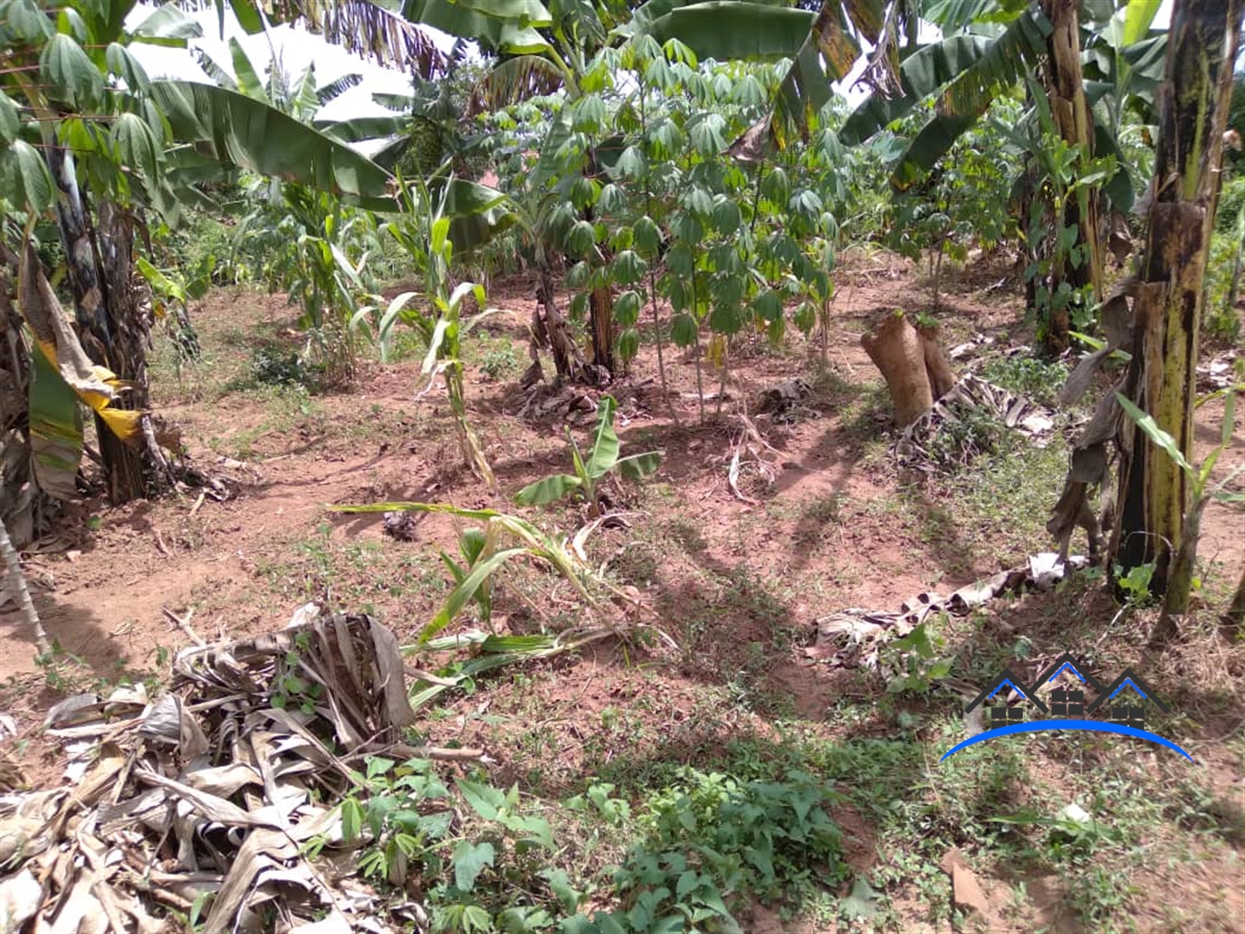 Residential Land for sale in Seguku Wakiso