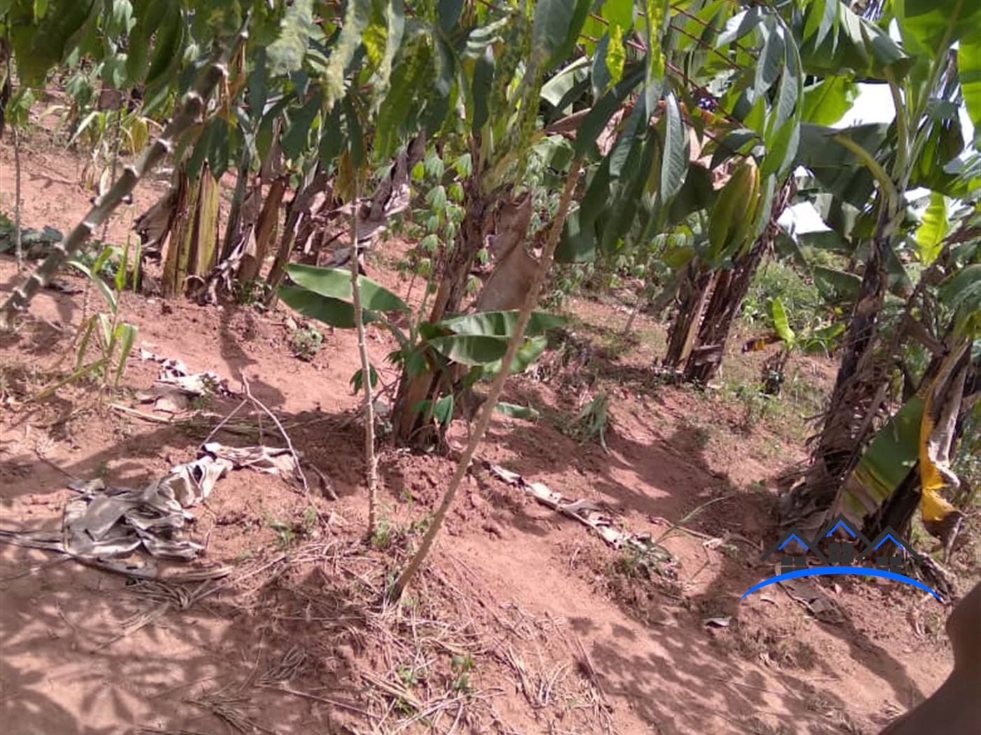 Residential Land for sale in Seguku Wakiso